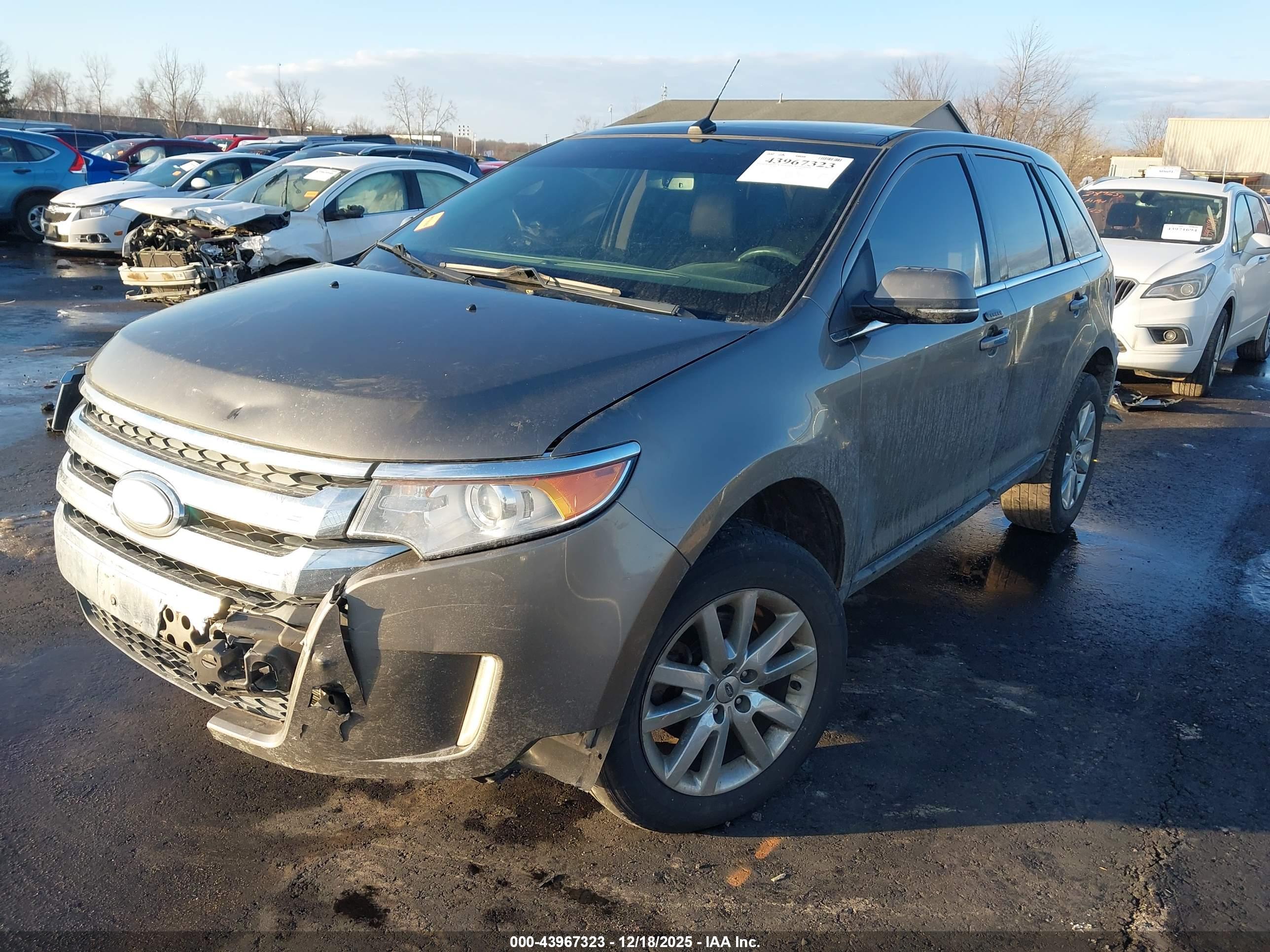 FORD EDGE image 2
