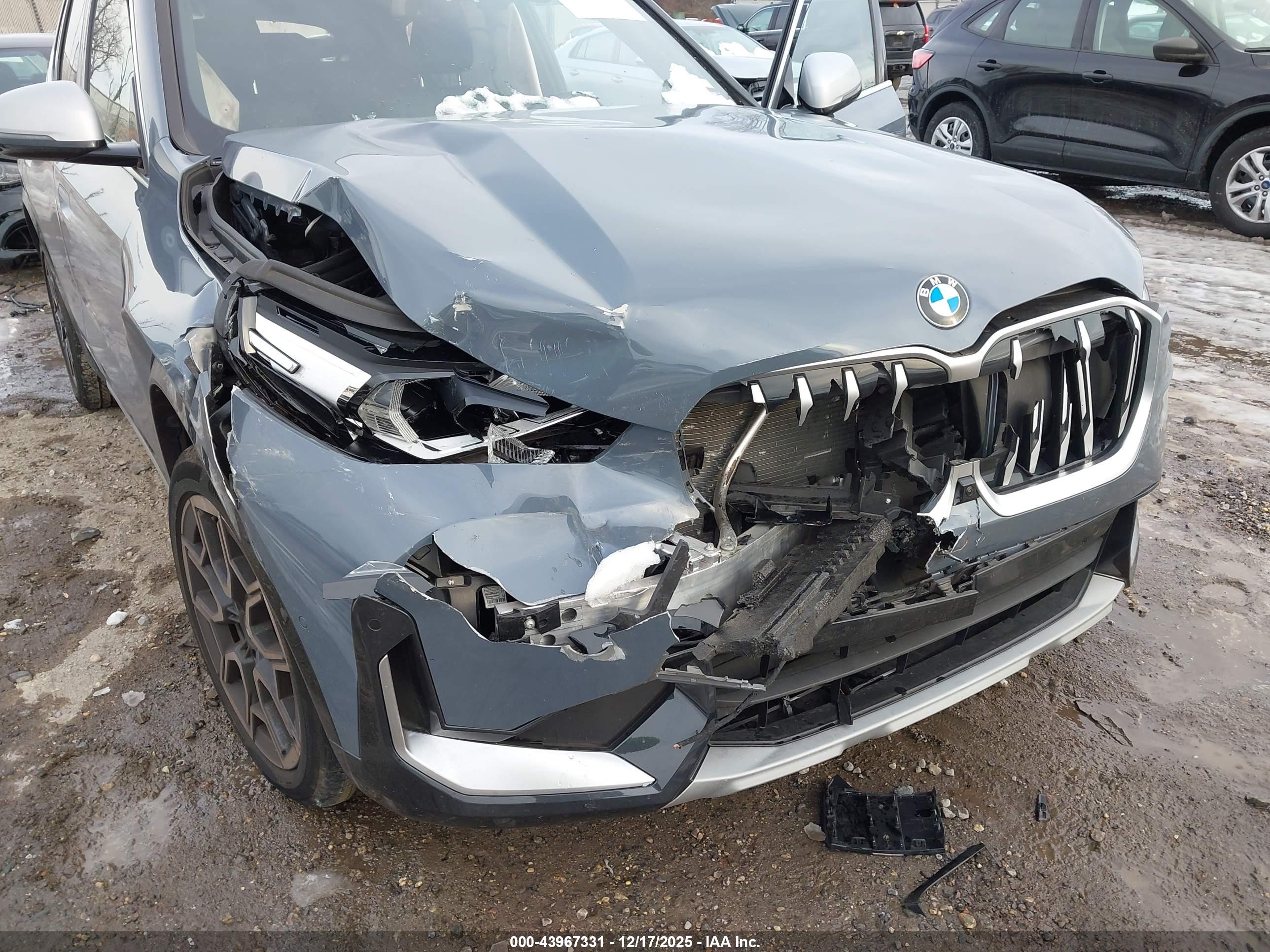 BMW X1 image 6