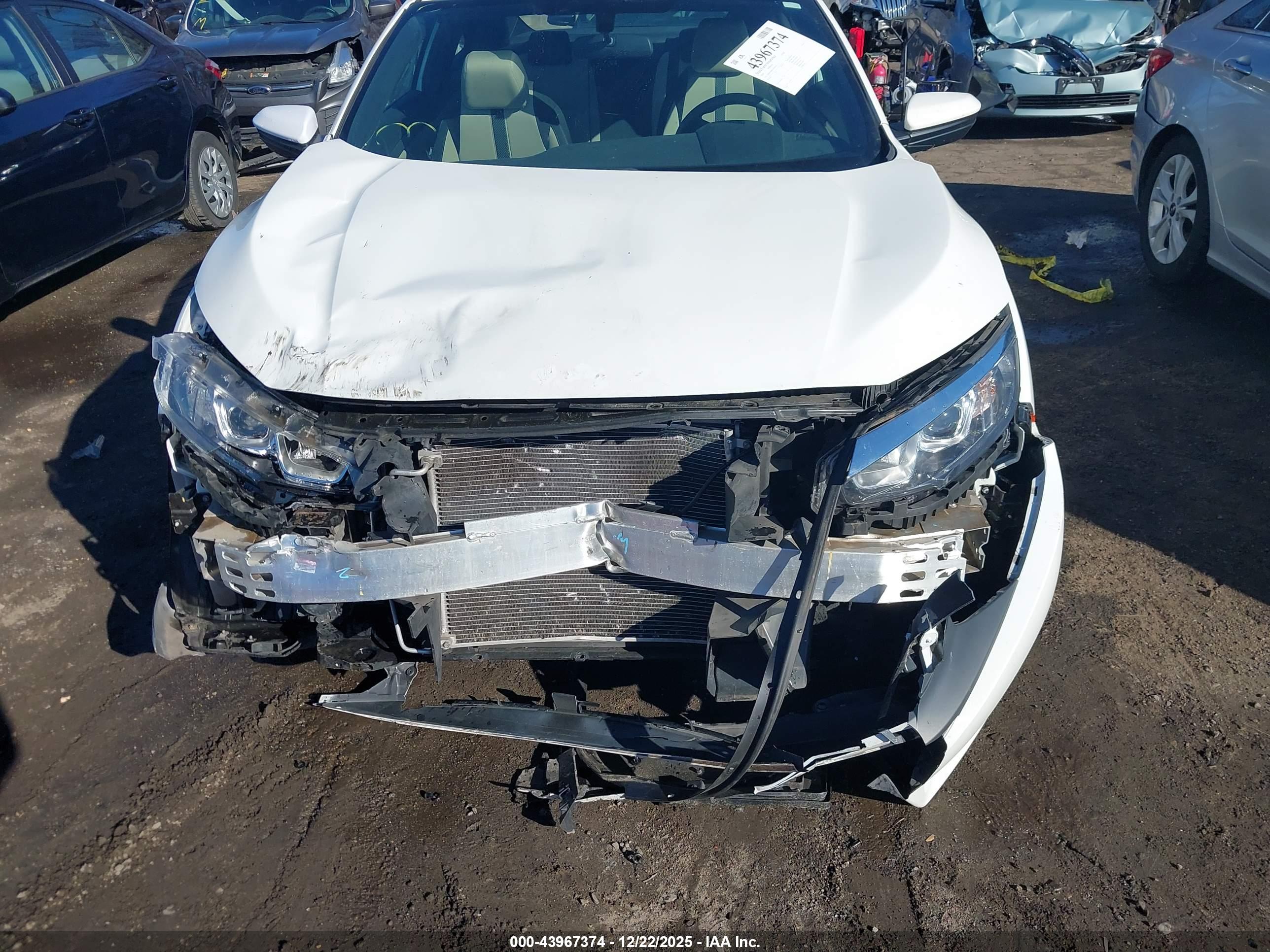 HONDA CIVIC image 6