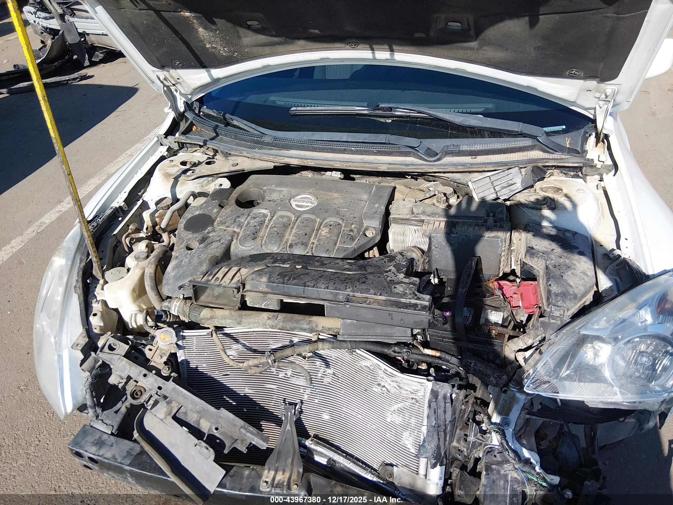 NISSAN ALTIMA image 10