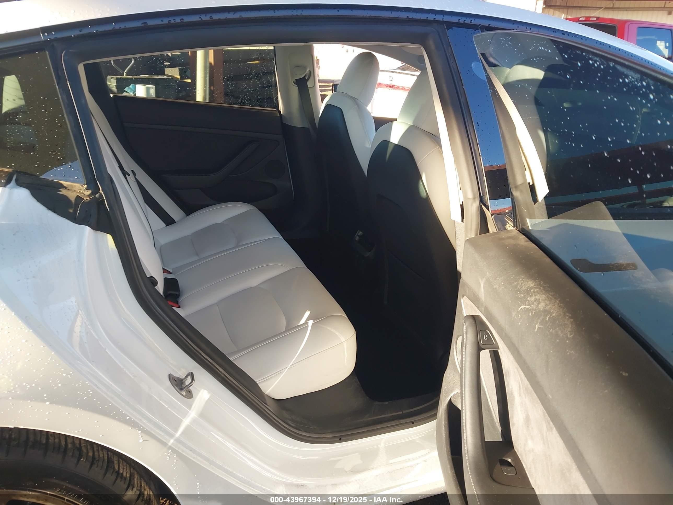 TESLA MODEL image 8