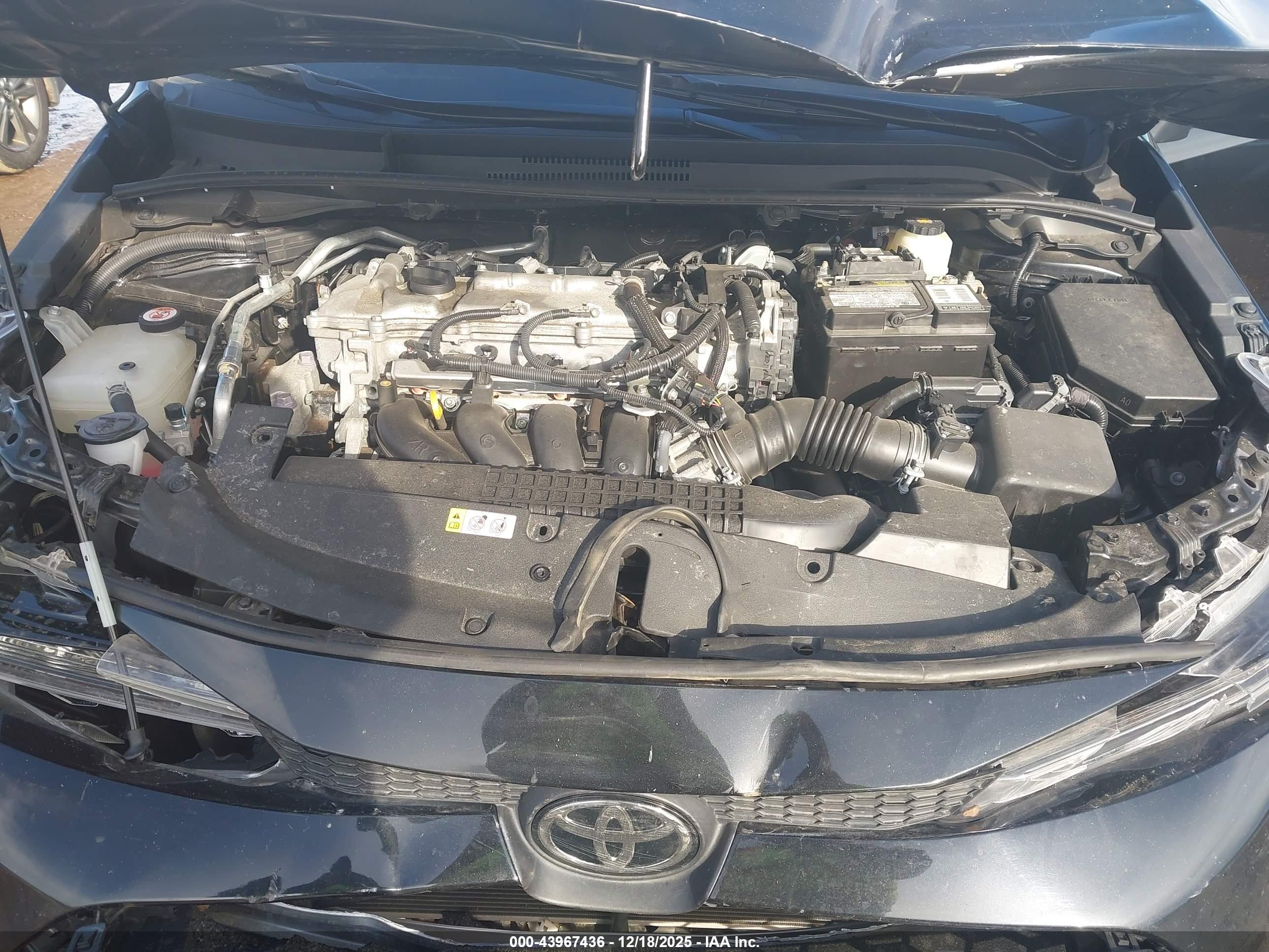 TOYOTA COROLLA image 10