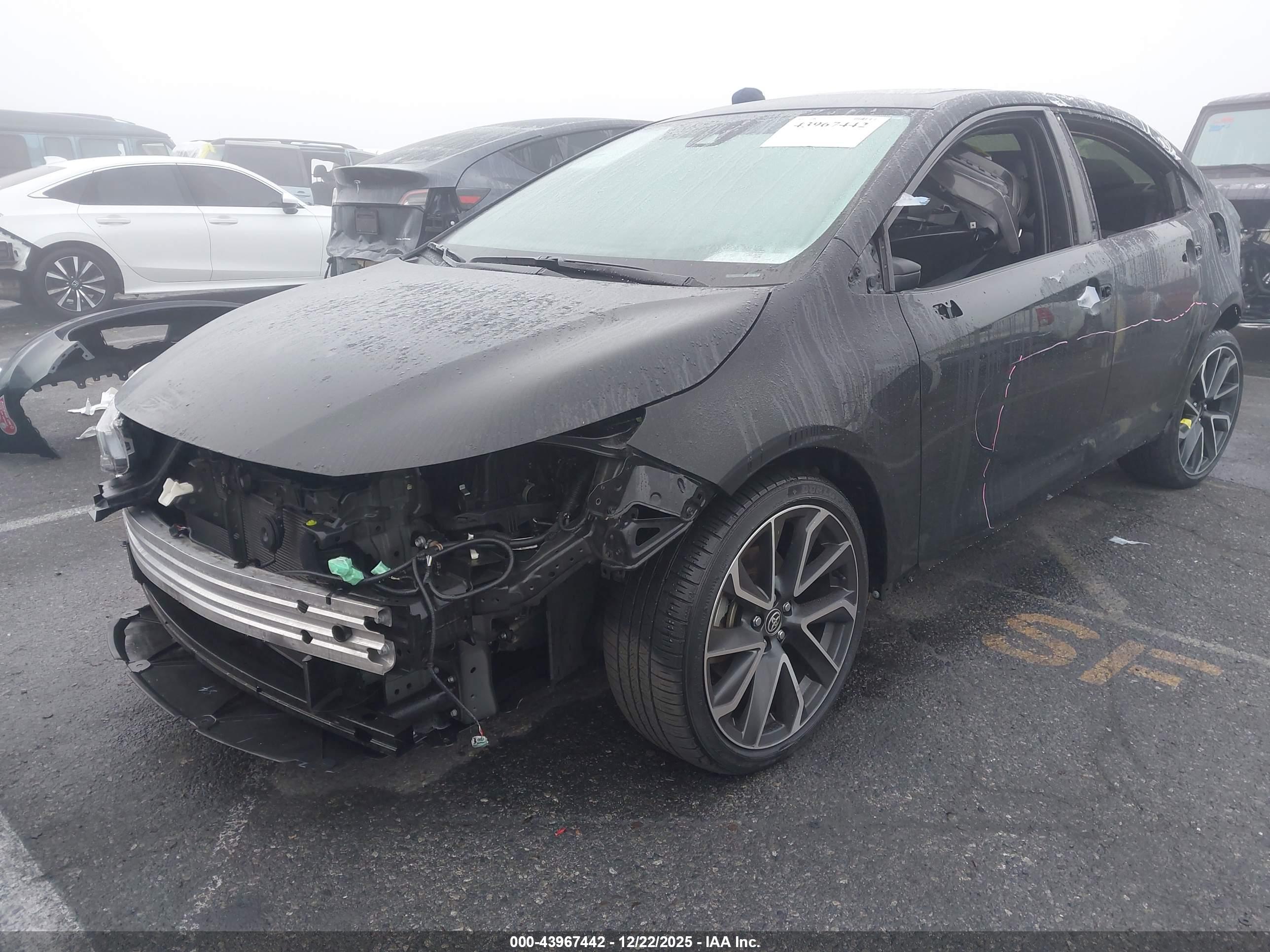 TOYOTA COROLLA image 2