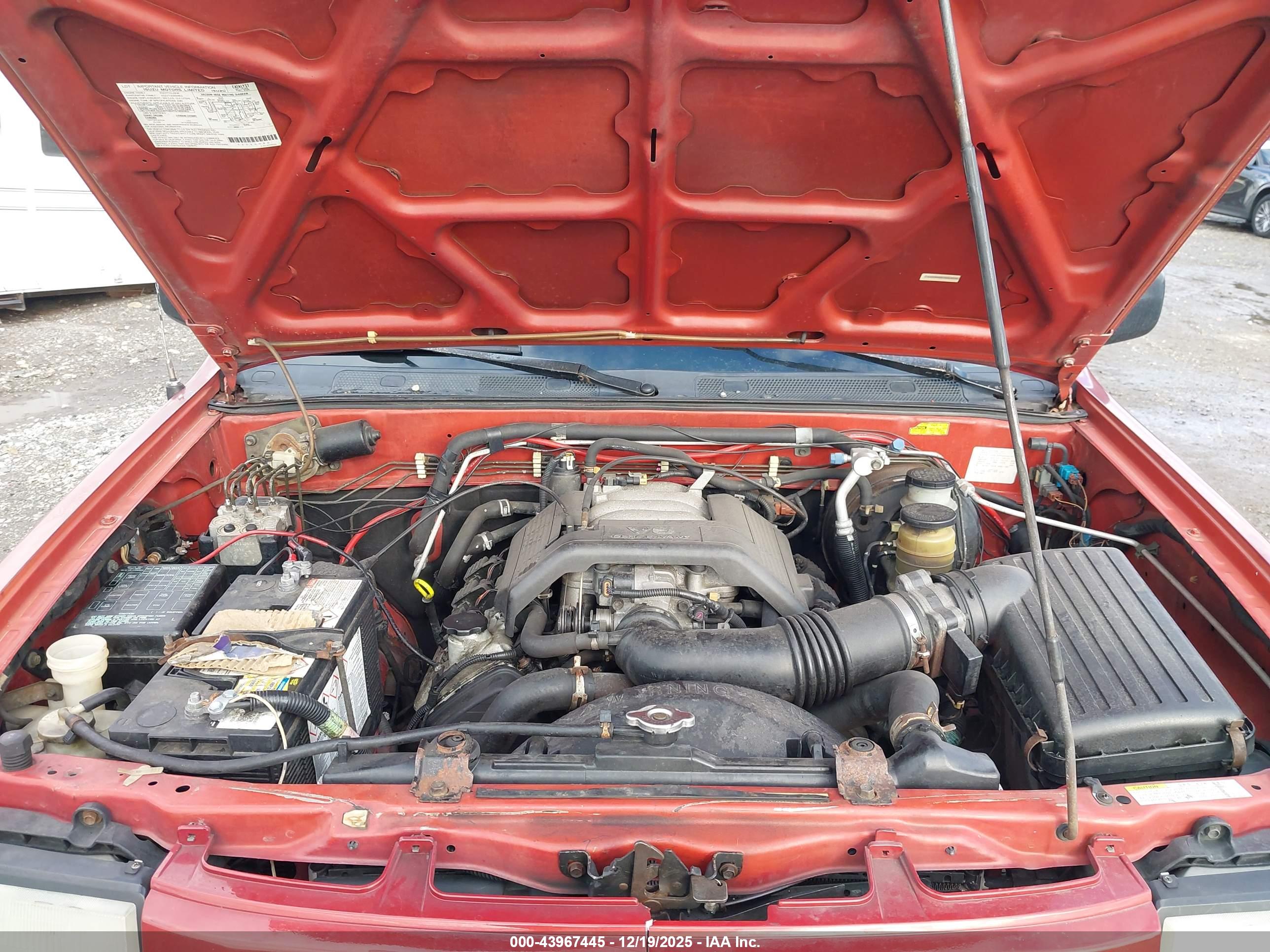 HONDA PASSPORT image 10