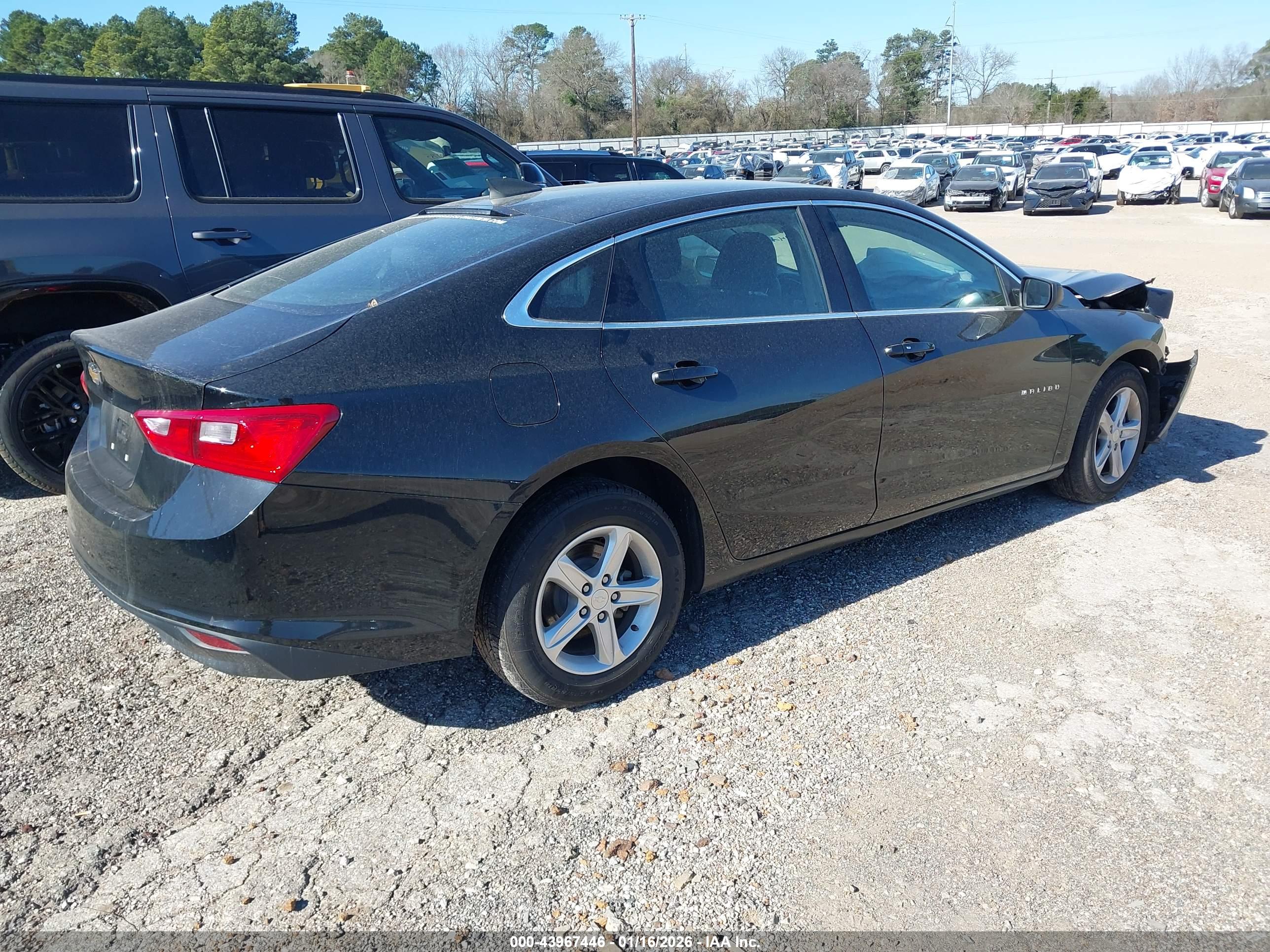 CHEVROLET MALIBU image 4