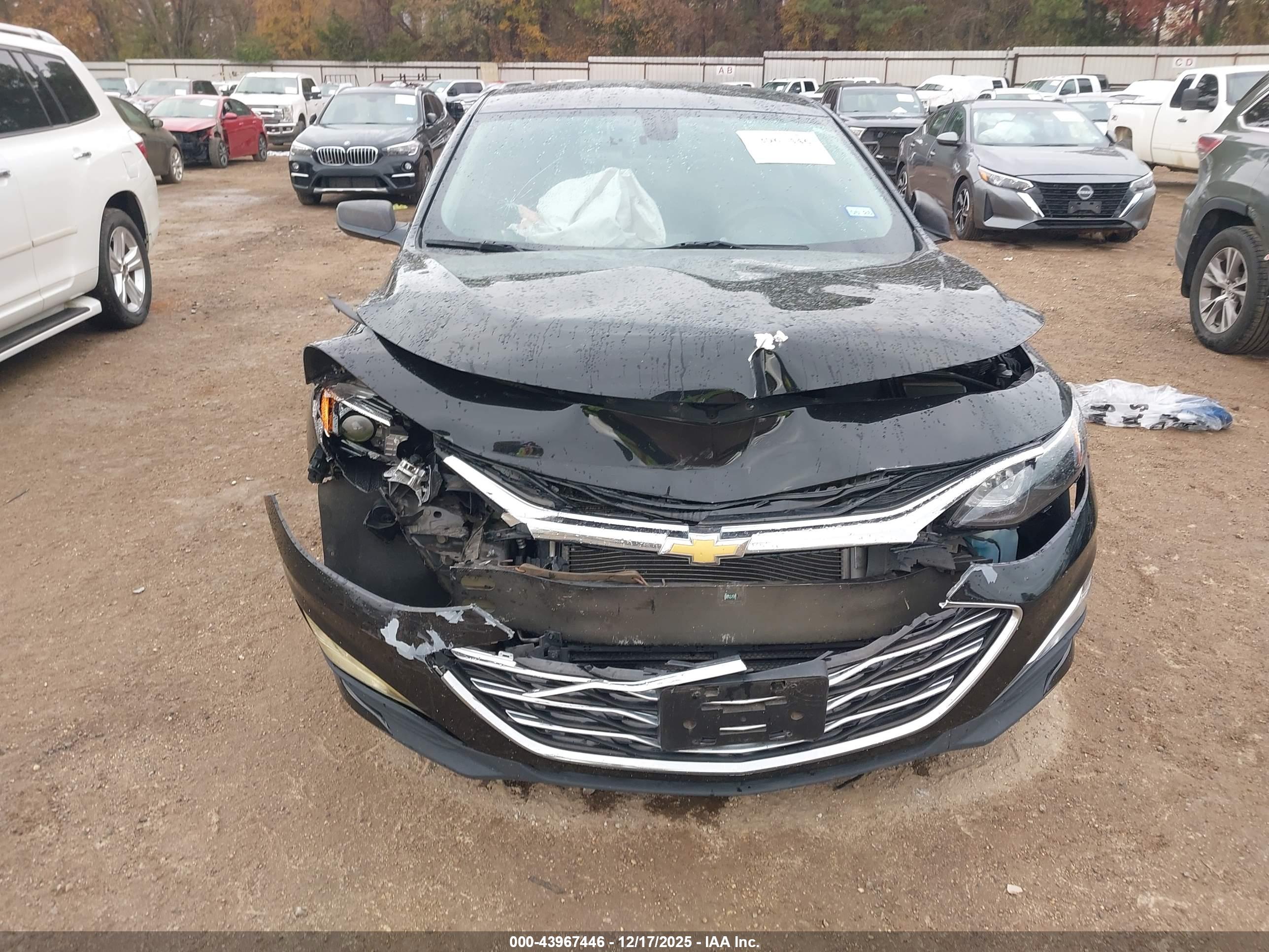CHEVROLET MALIBU image 6
