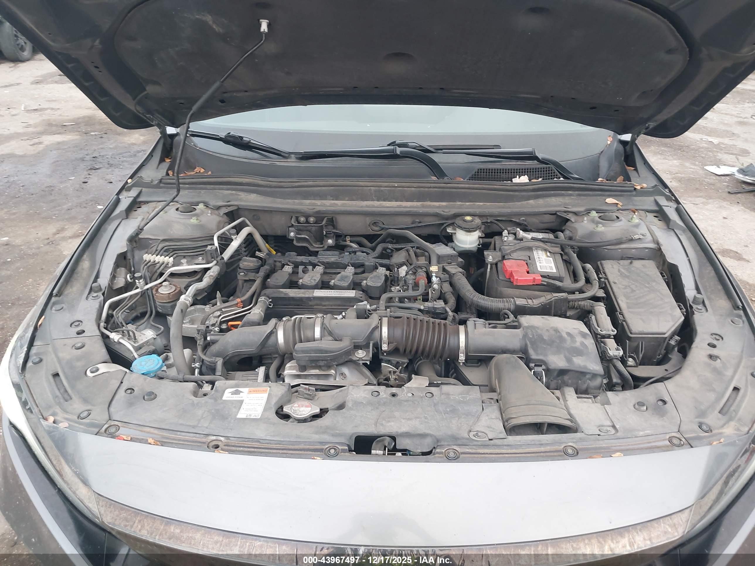 HONDA ACCORD image 10
