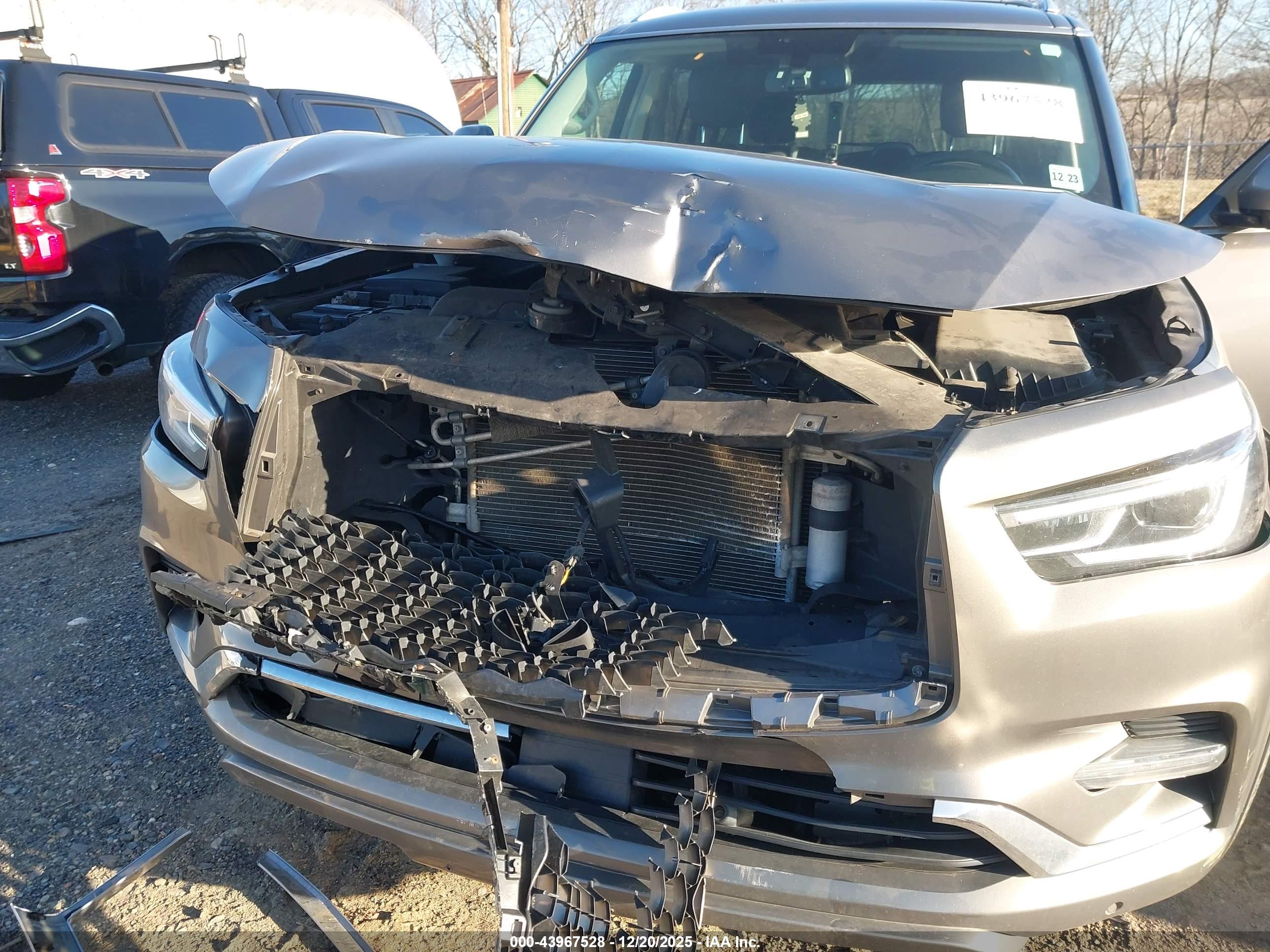 INFINITI QX80 image 6