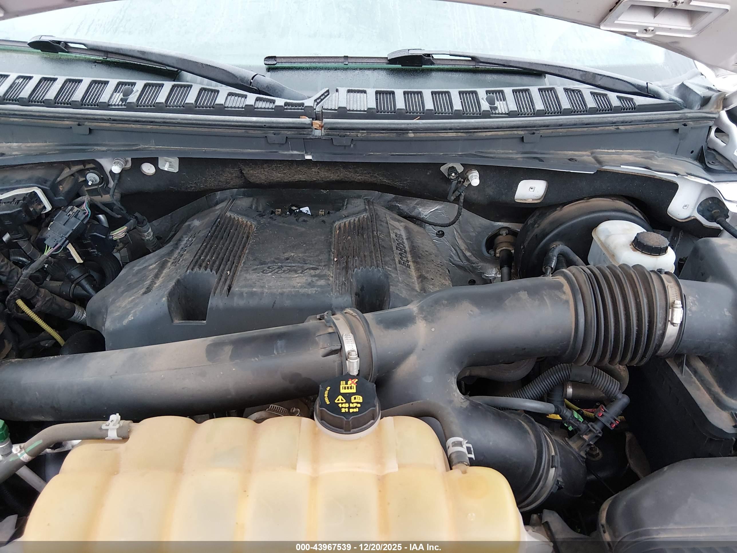 FORD EXPEDITION image 10
