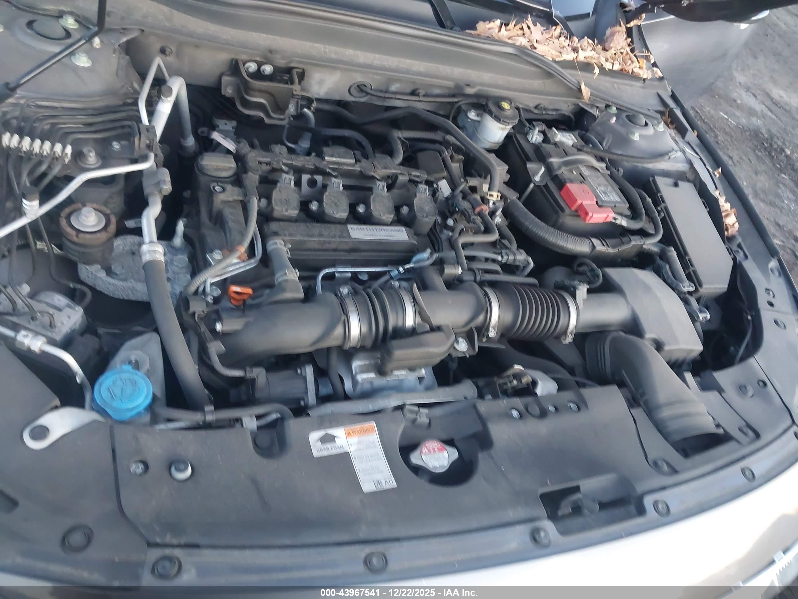 HONDA ACCORD image 10