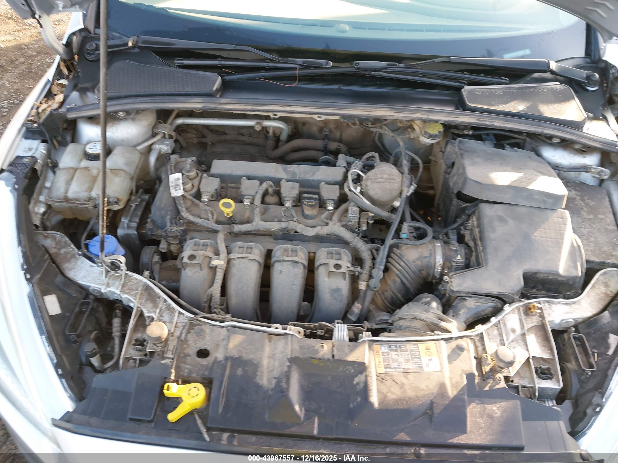 FORD FOCUS image 10