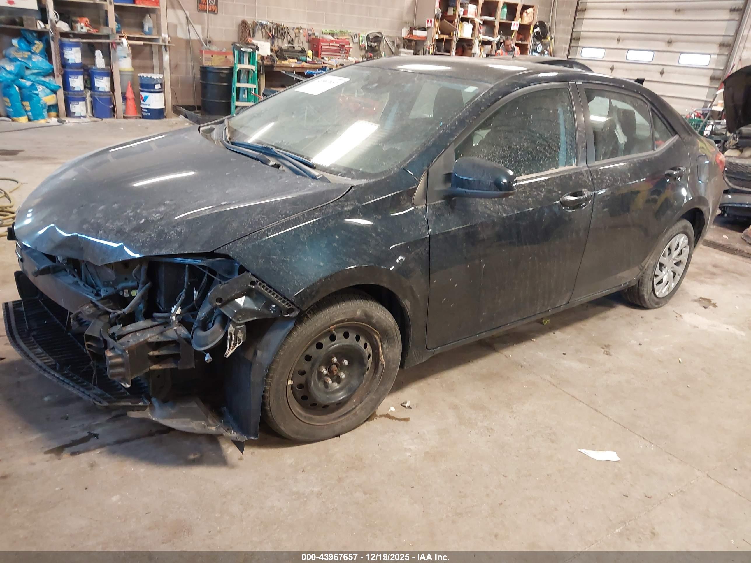 TOYOTA COROLLA image 2