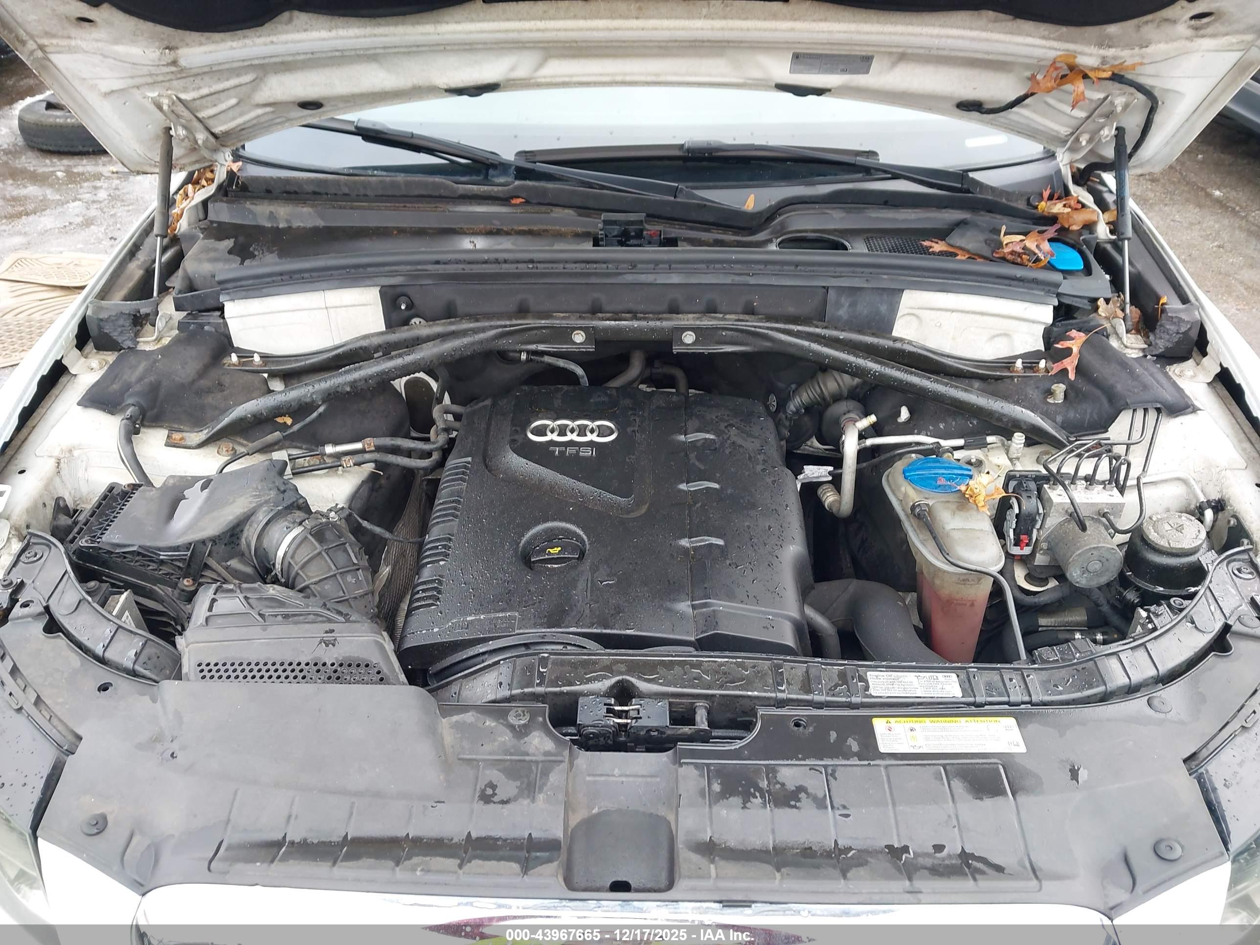 AUDI Q5 image 10