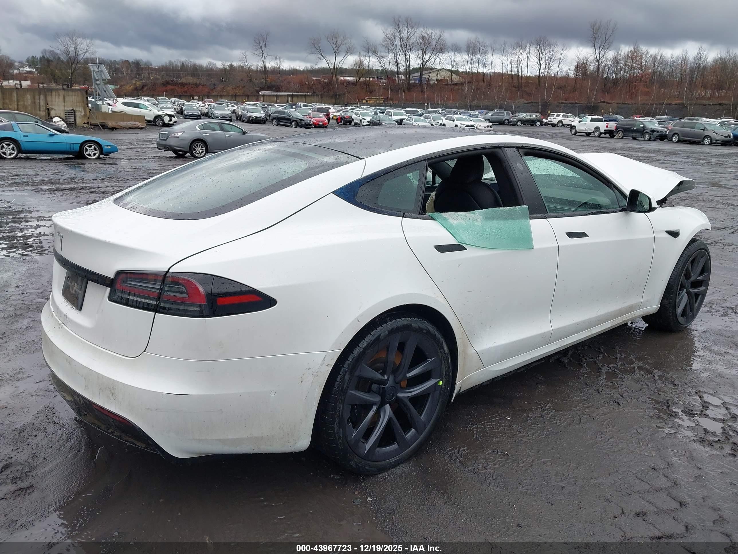 TESLA MODEL image 4