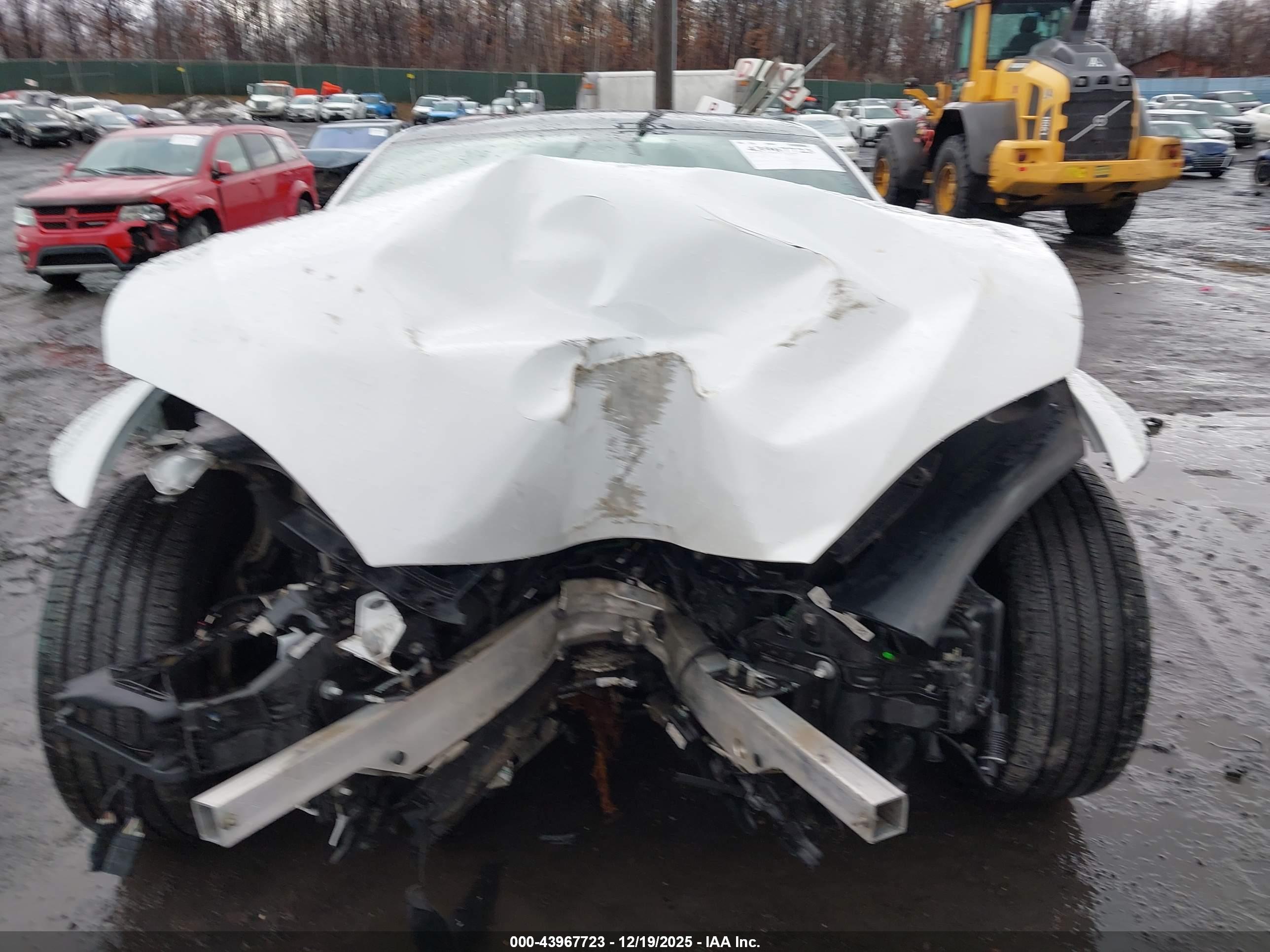 TESLA MODEL image 6