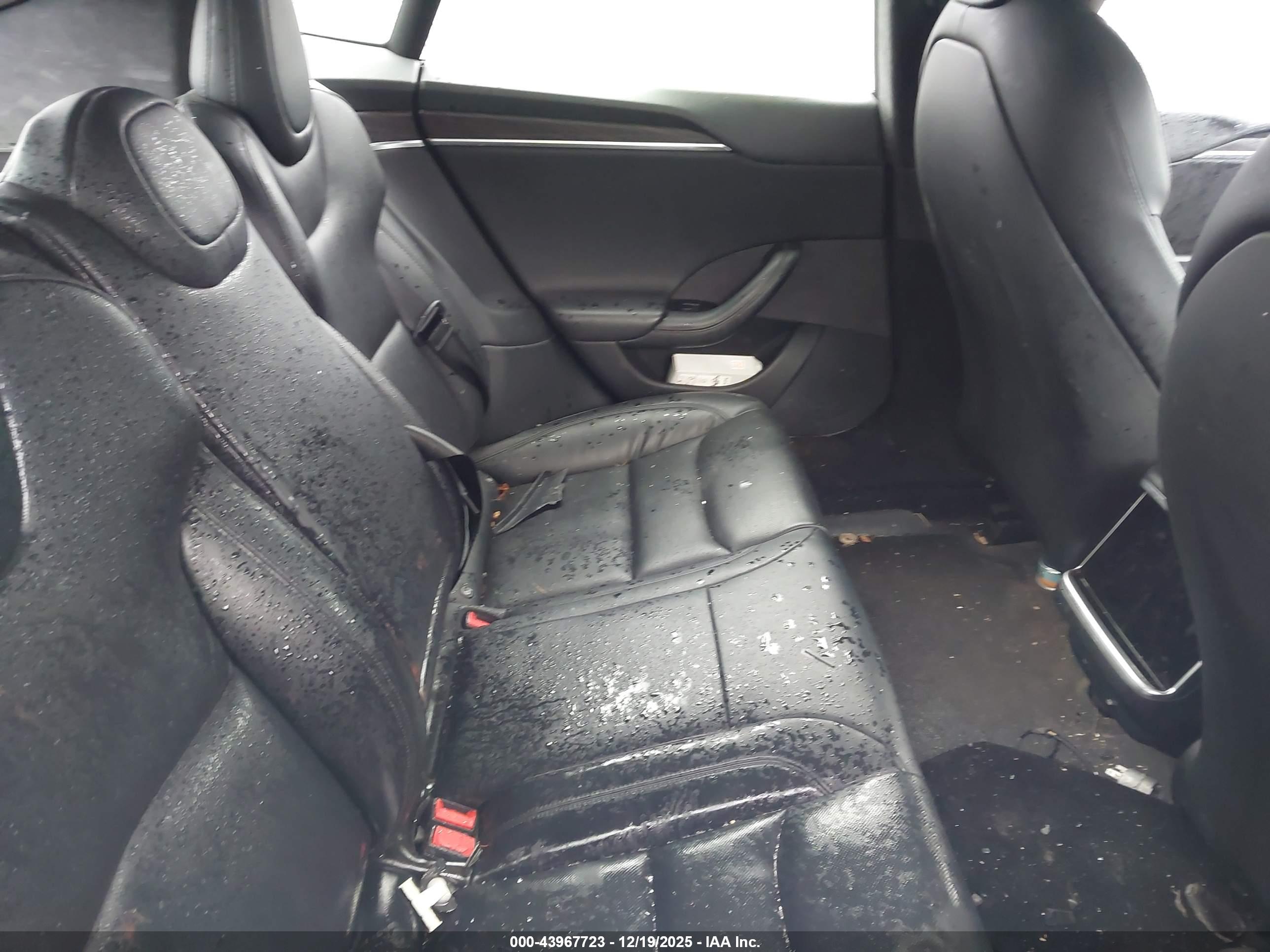 TESLA MODEL image 8
