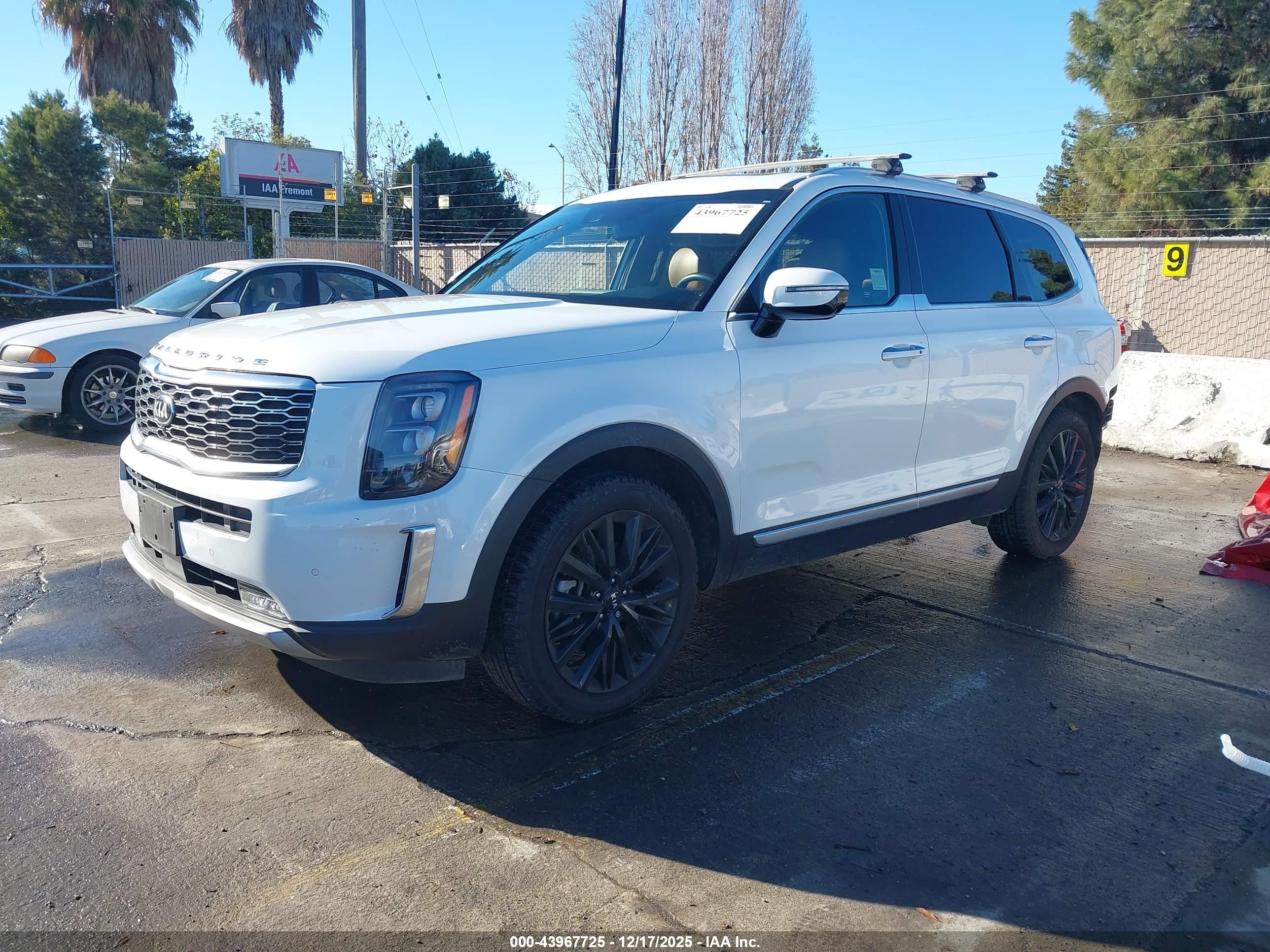 KIA TELLURIDE image 2