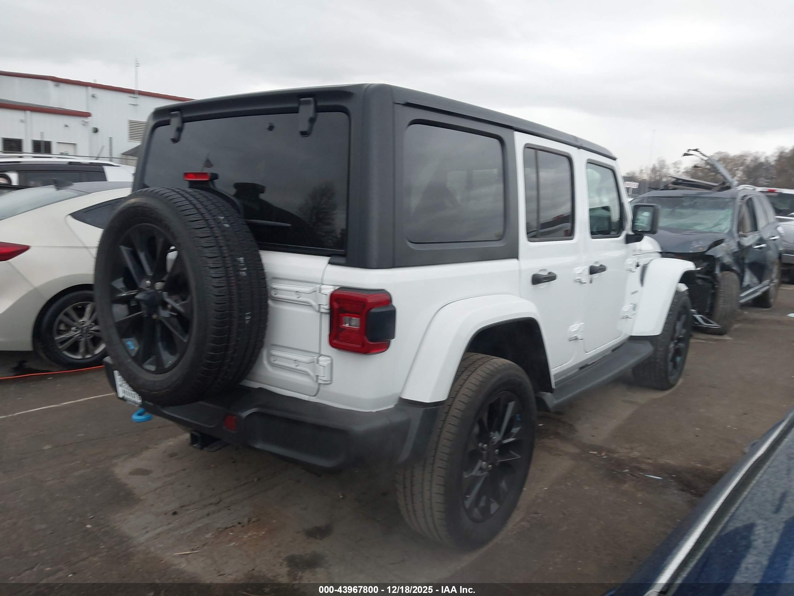 JEEP WRANGLER image 4