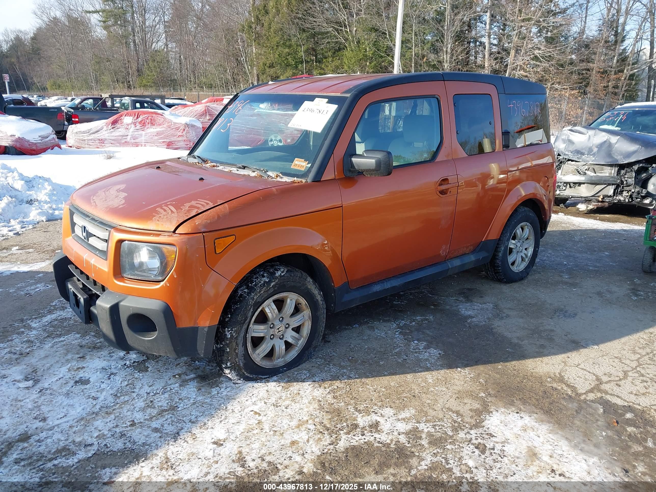 HONDA ELEMENT image 2