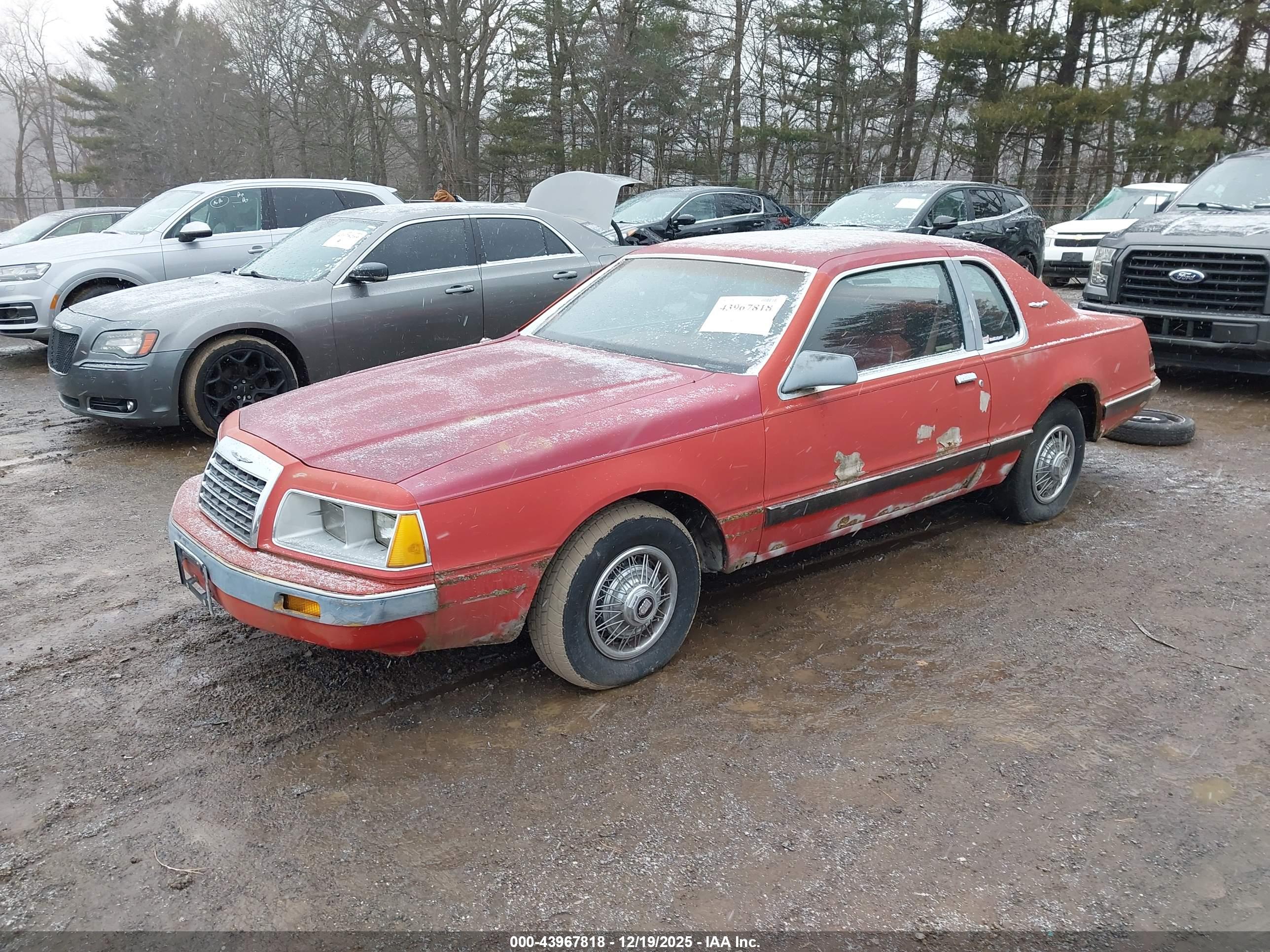 FORD THUNDERBIRD image 2