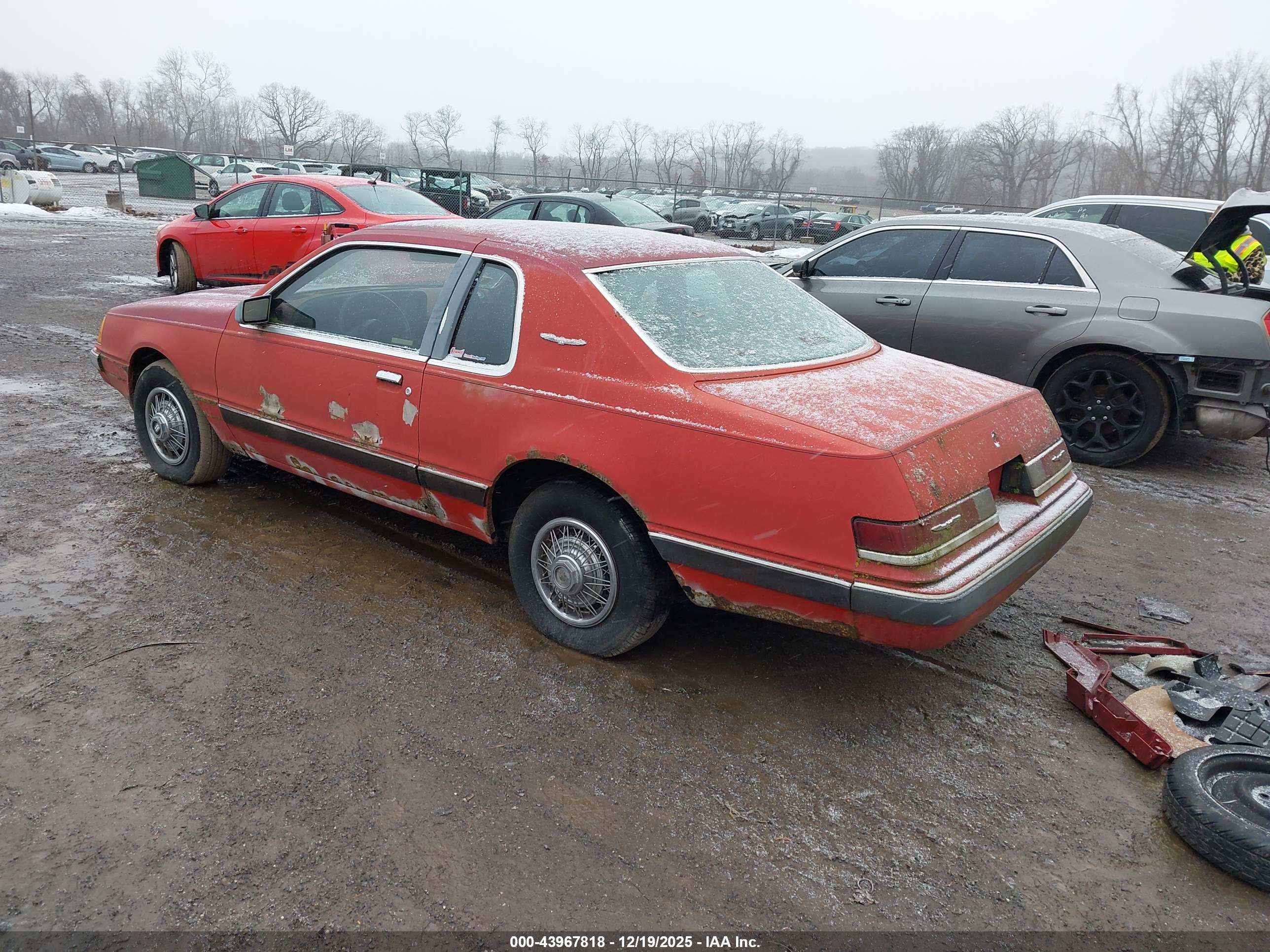 FORD THUNDERBIRD image 3