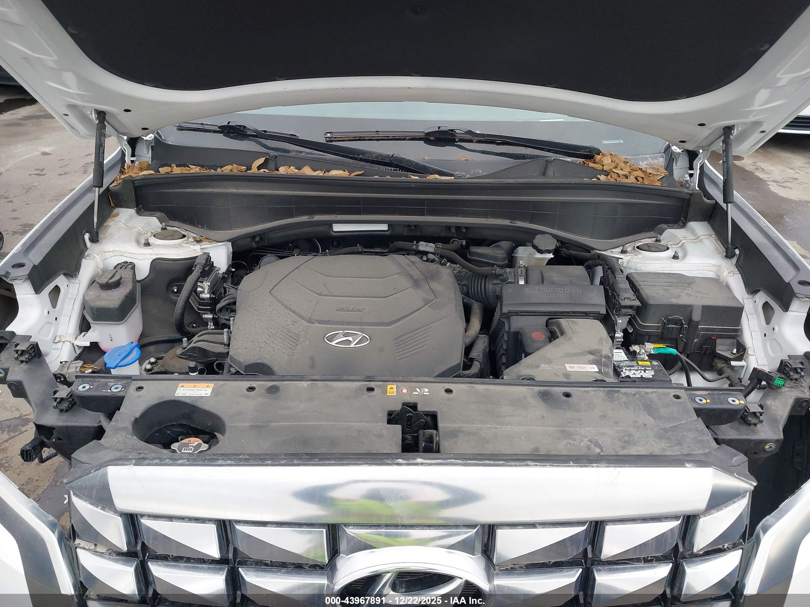 HYUNDAI PALISADE image 10