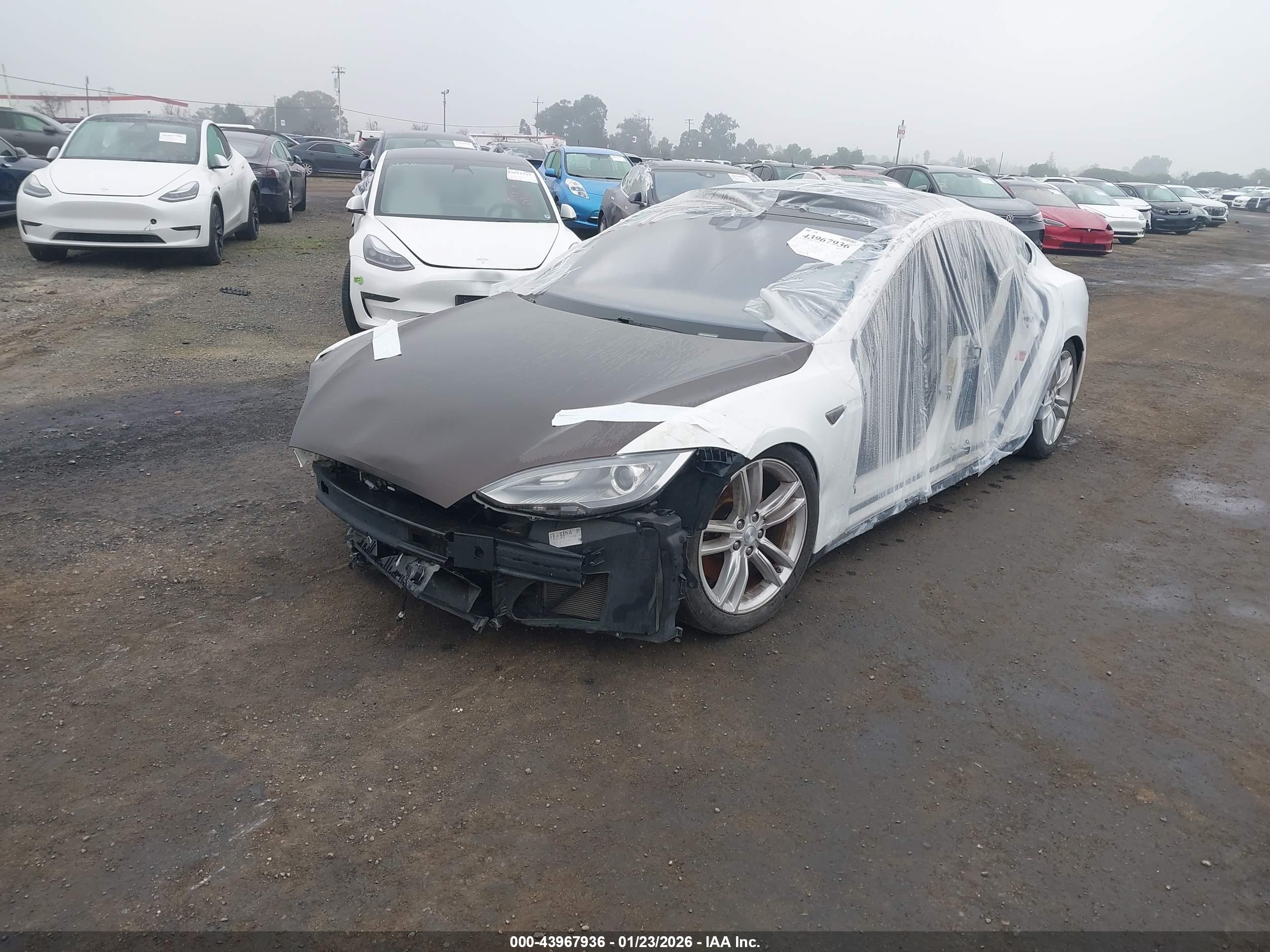 TESLA MODEL image 2