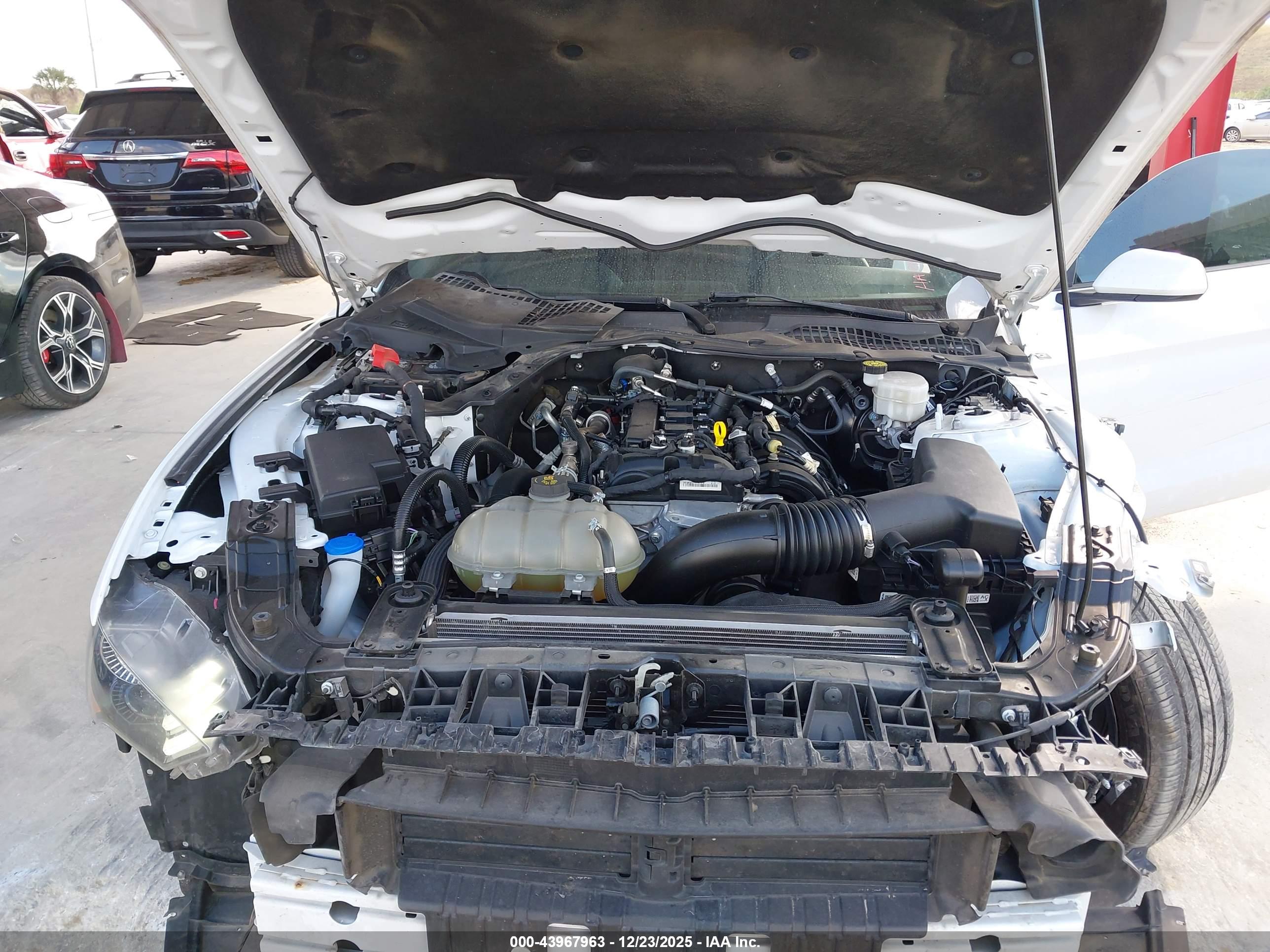 FORD MUSTANG image 10