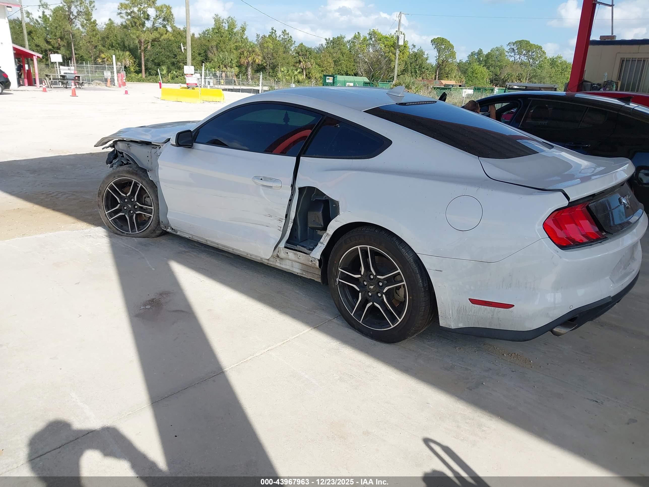 FORD MUSTANG image 3