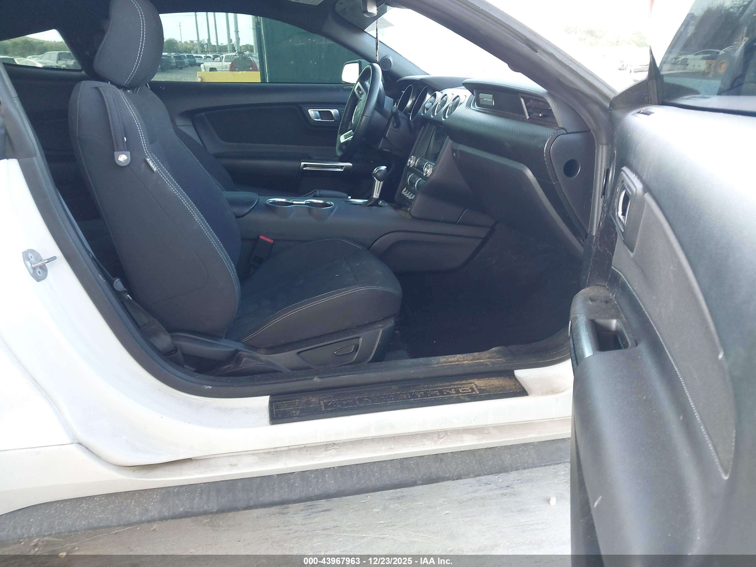 FORD MUSTANG image 5