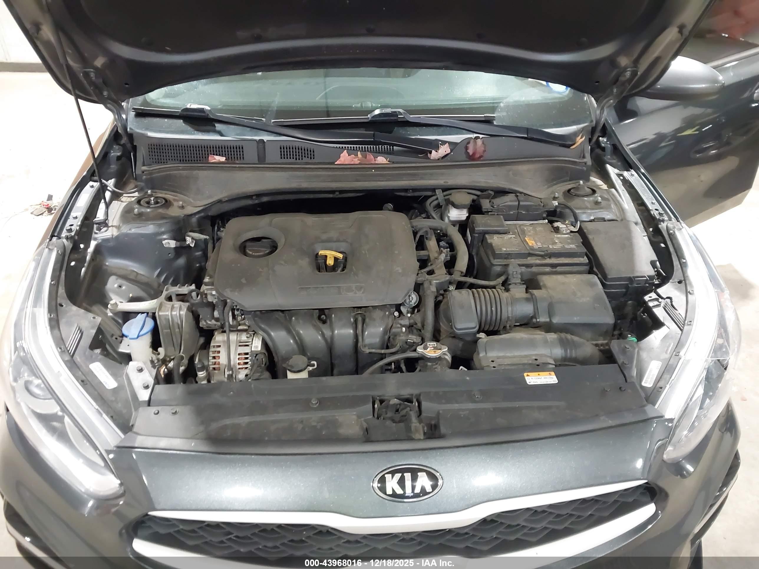 KIA FORTE image 10