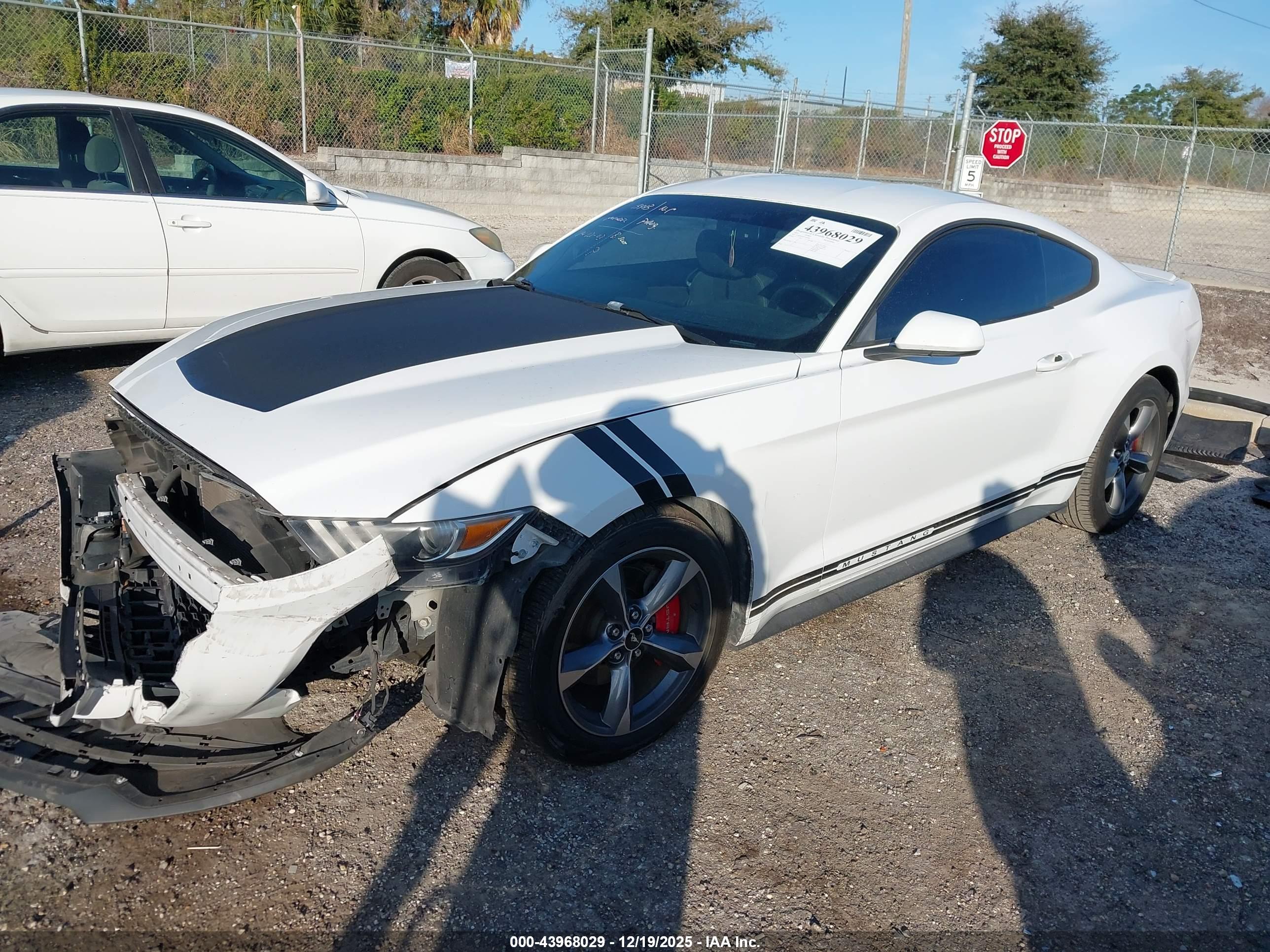 FORD MUSTANG image 2