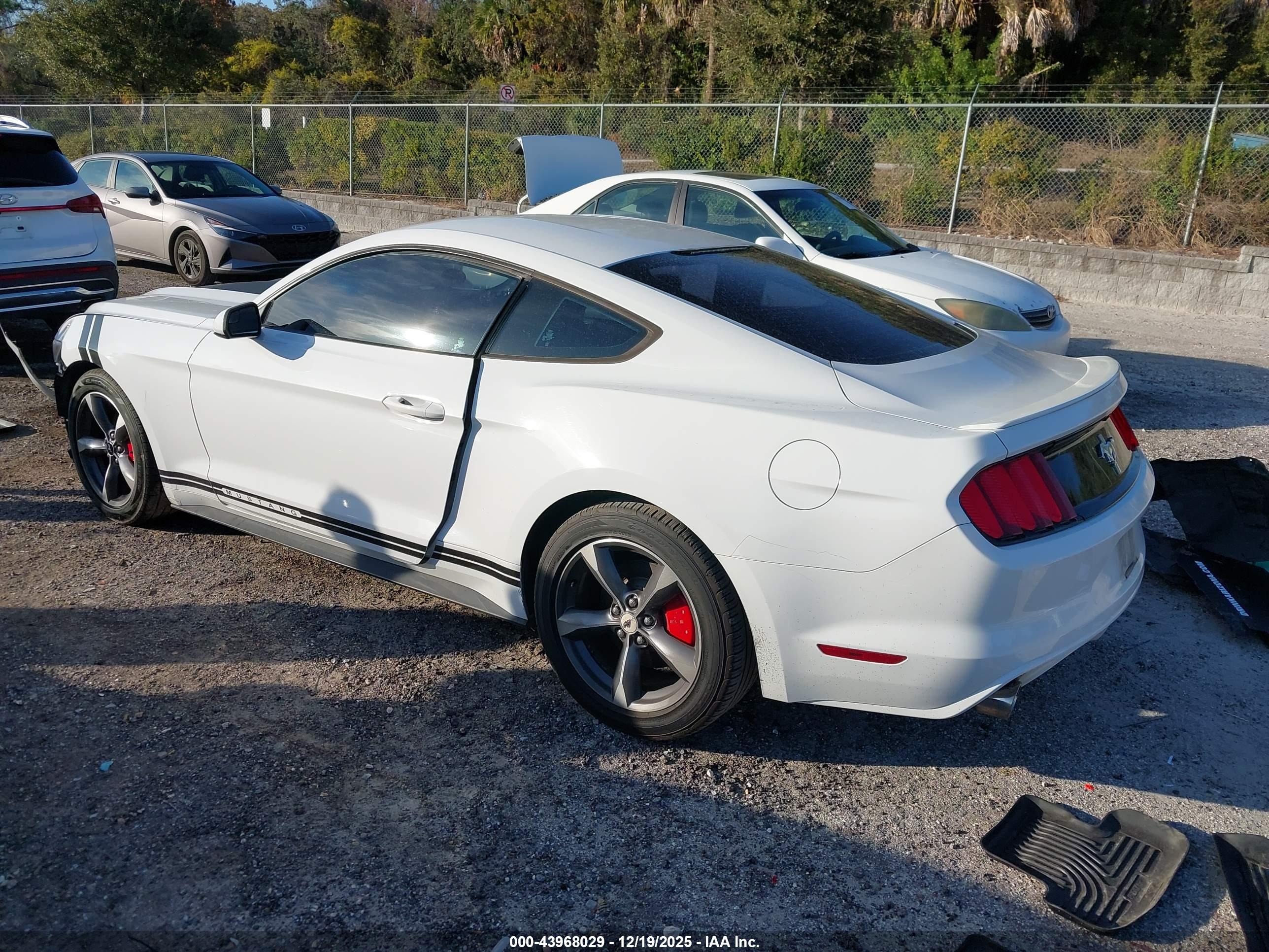 FORD MUSTANG image 3