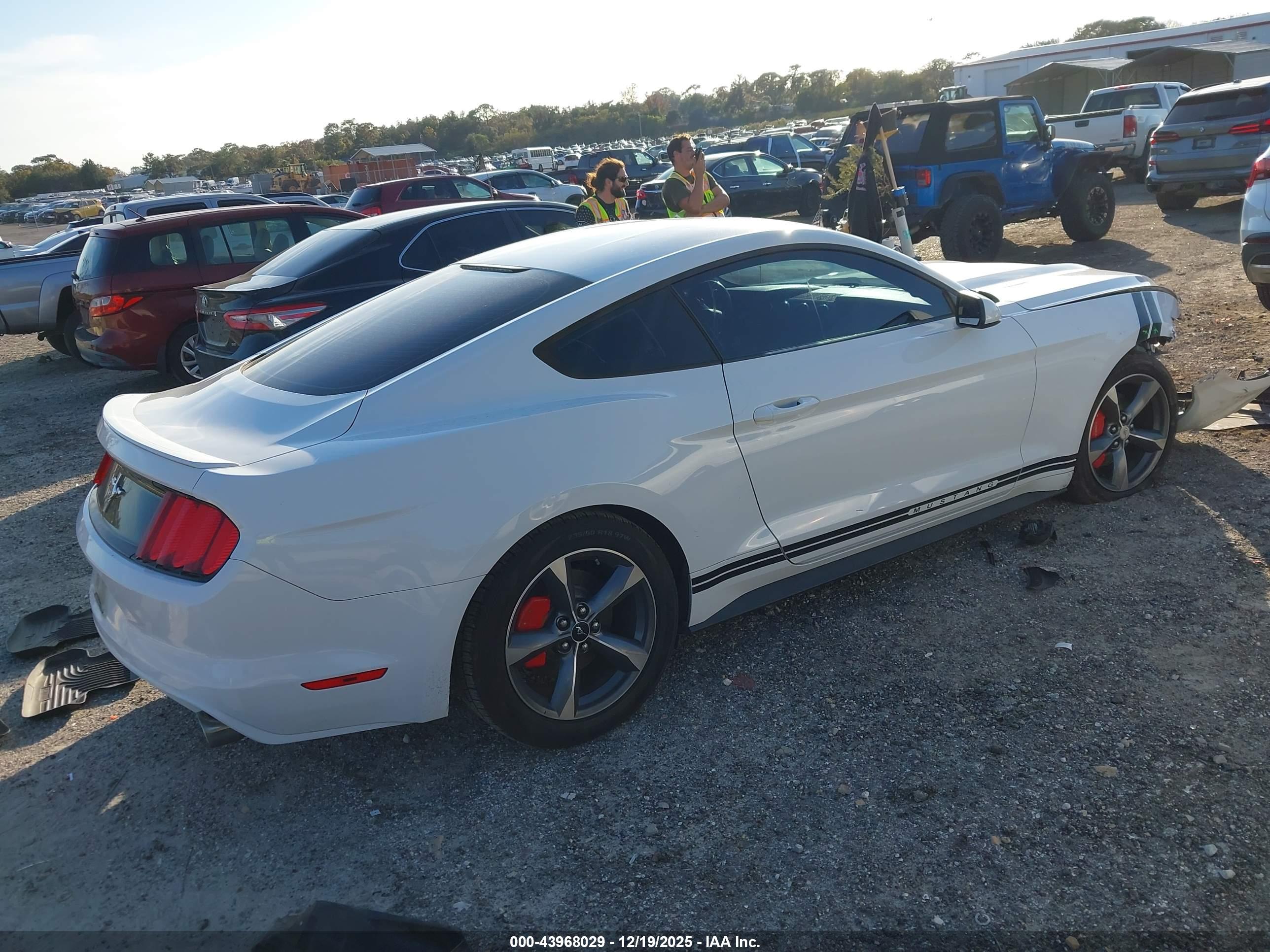 FORD MUSTANG image 4