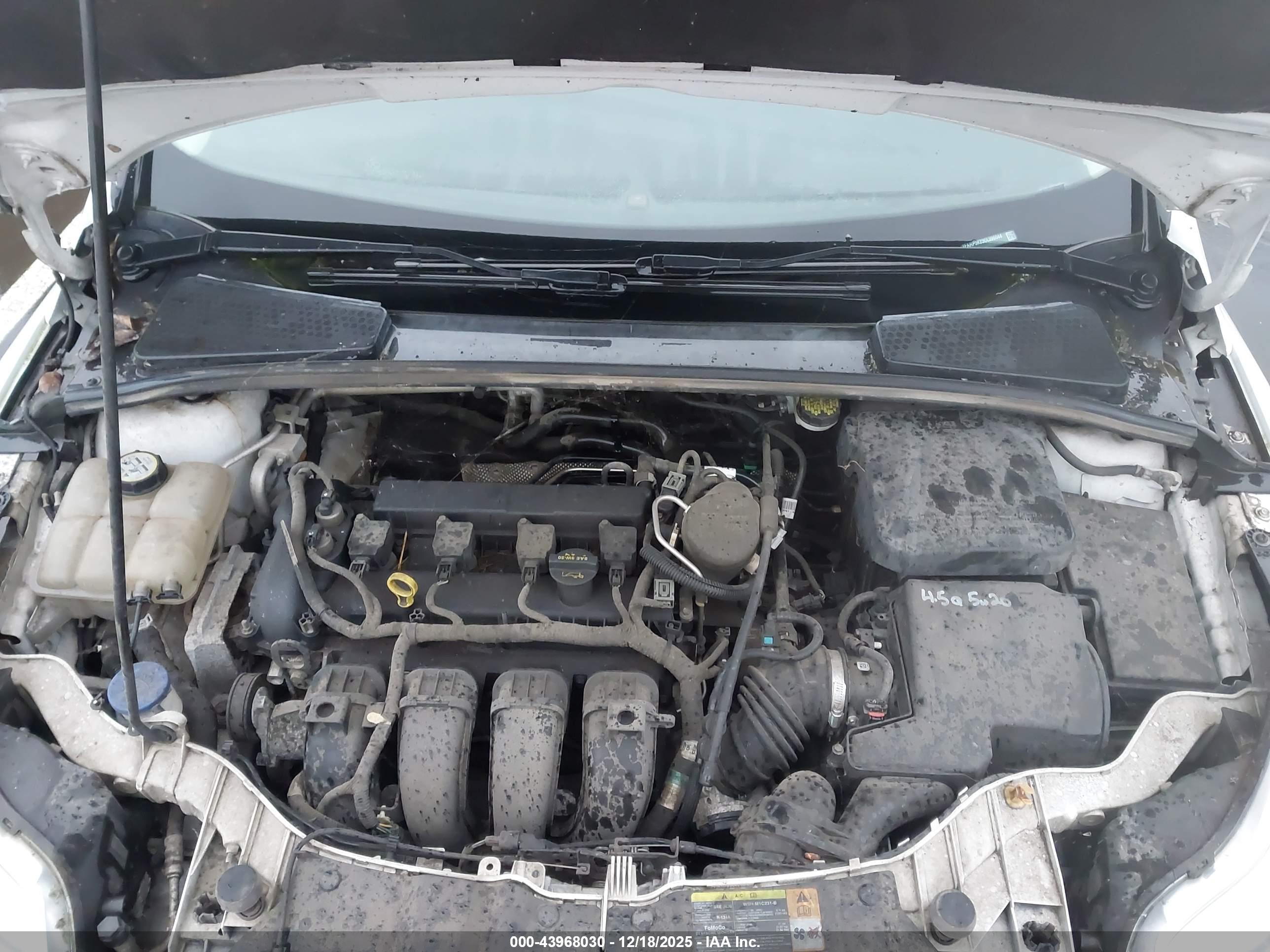 FORD FOCUS image 10