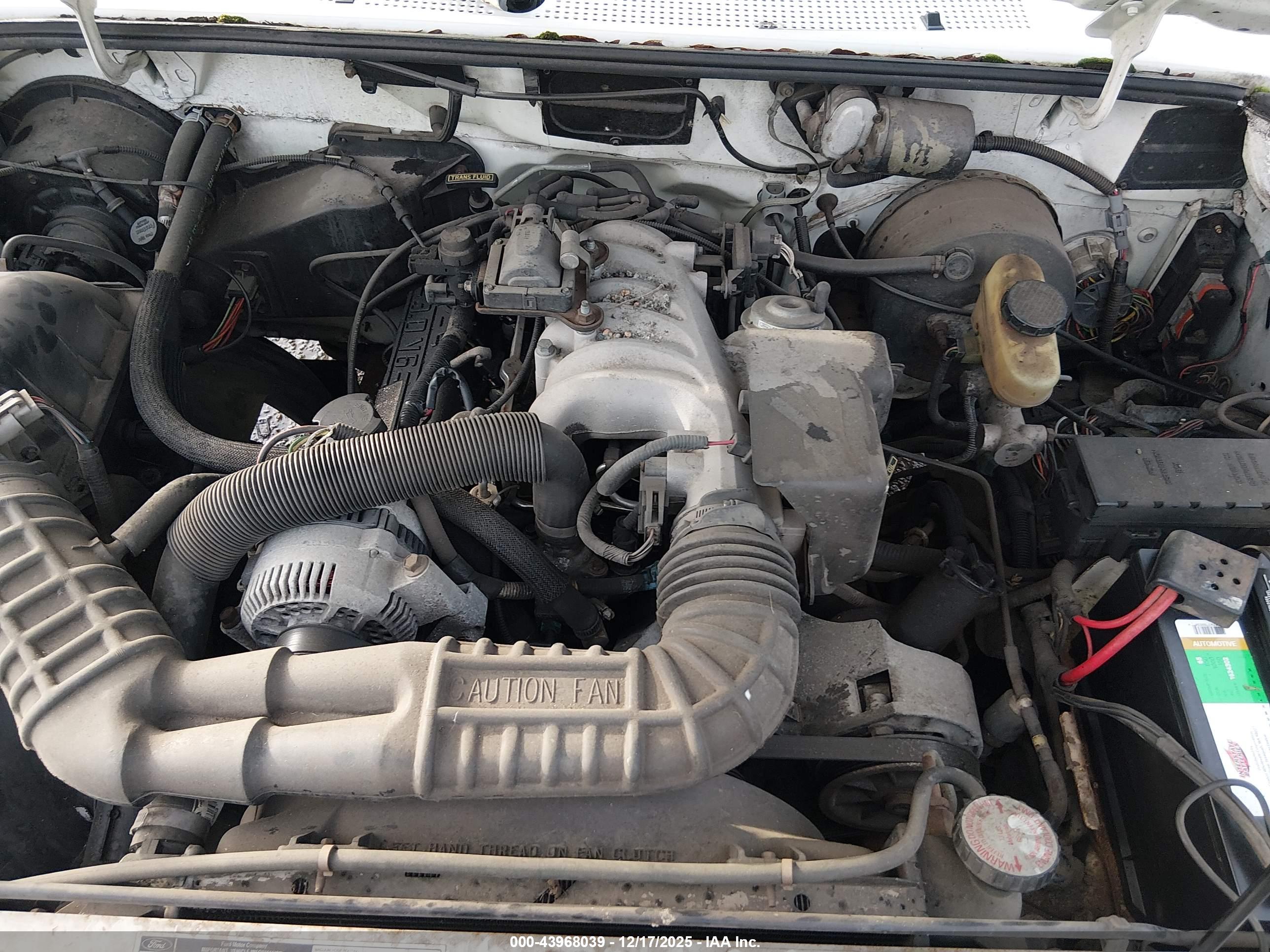 FORD RANGER image 10