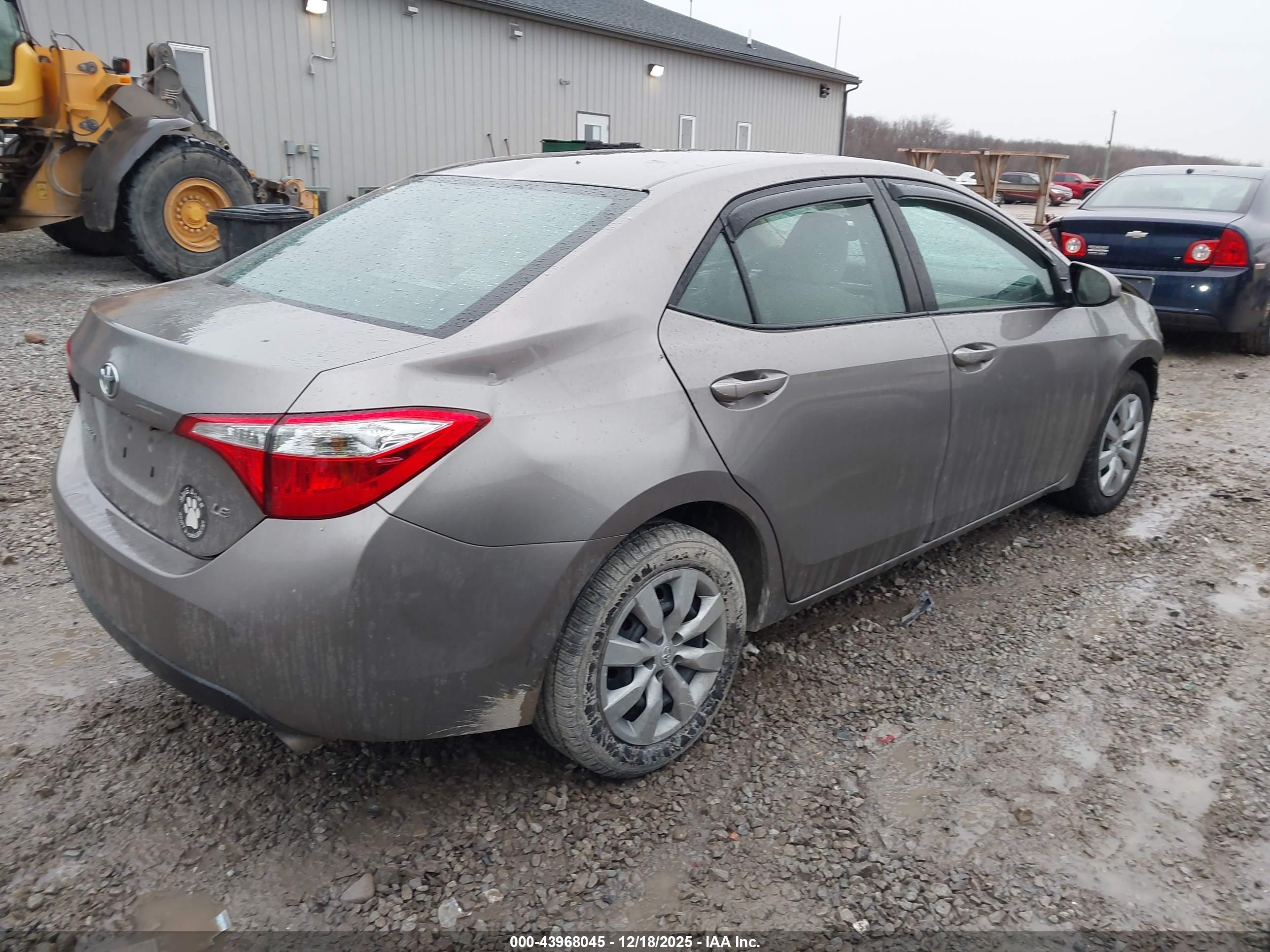 TOYOTA COROLLA image 4