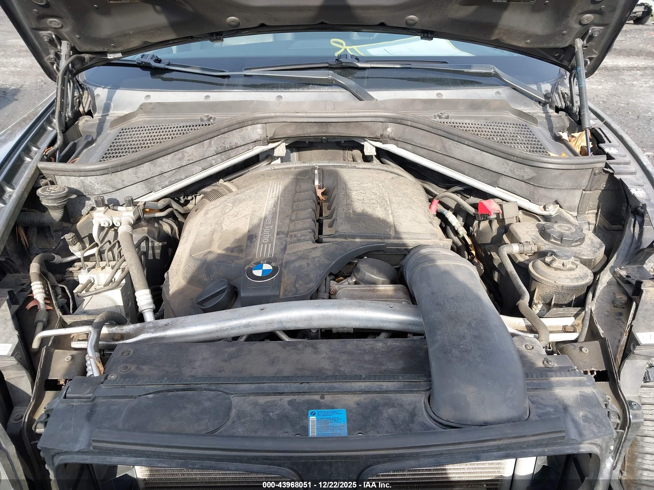 BMW X6 image 10