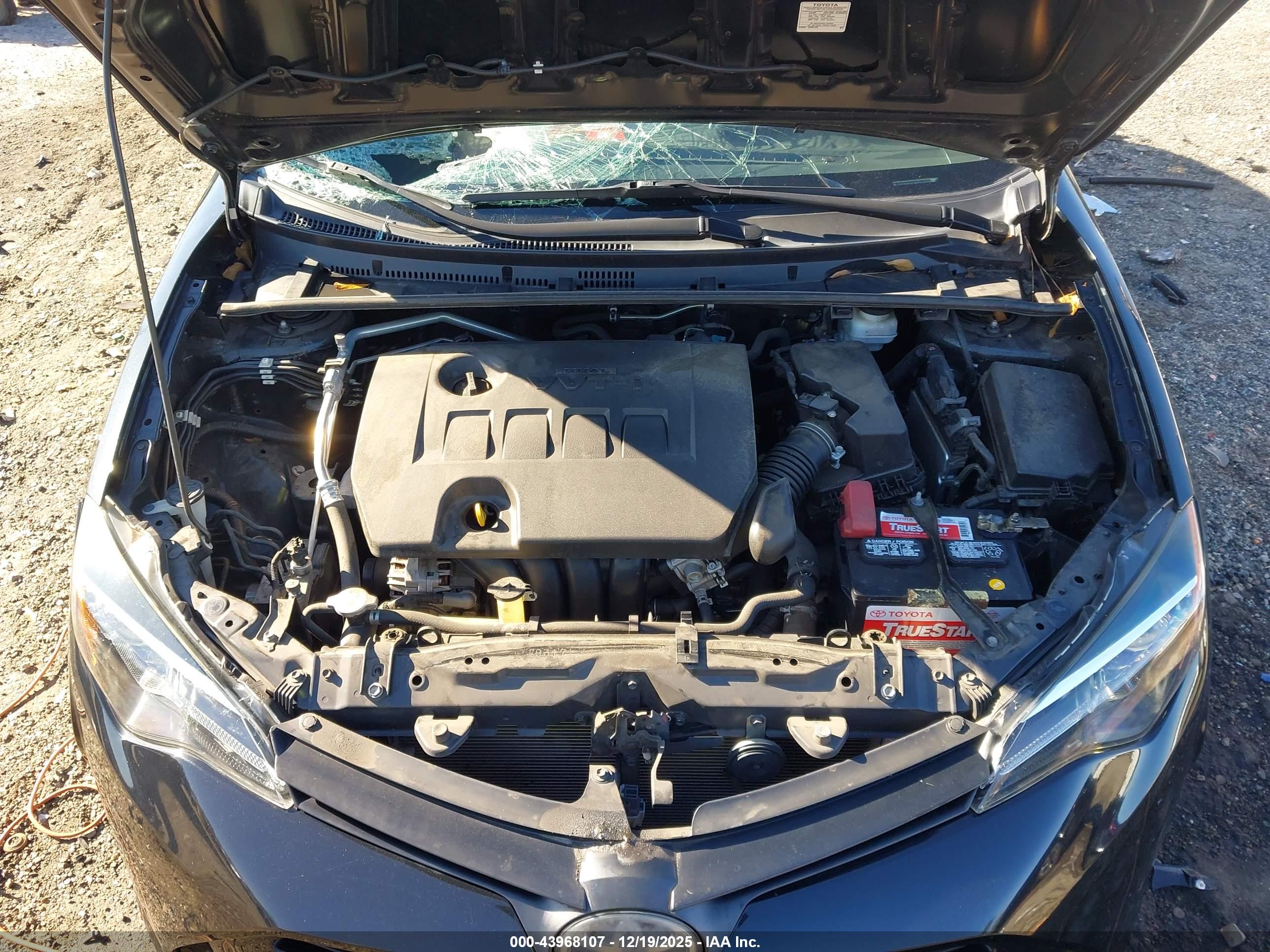 TOYOTA COROLLA image 10