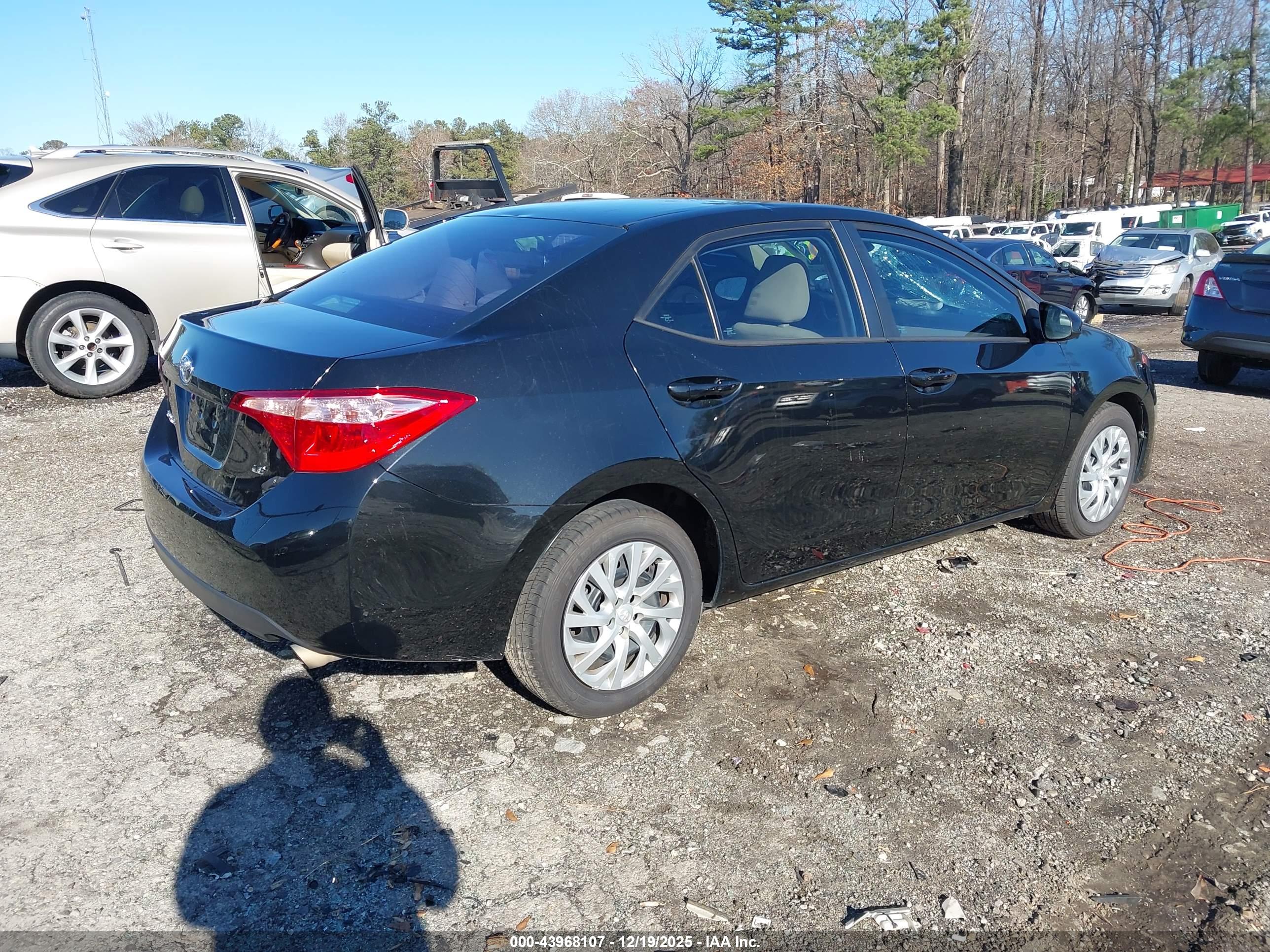 TOYOTA COROLLA image 4
