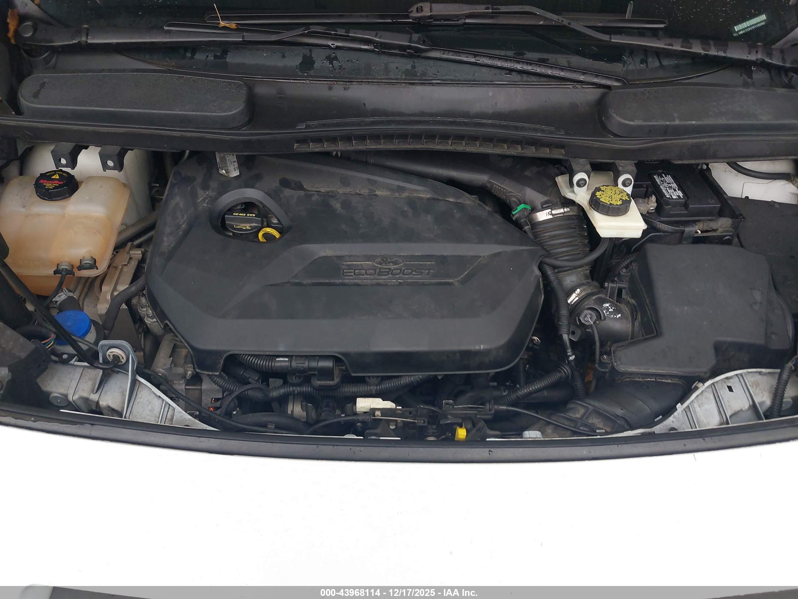 FORD TRANSIT image 10