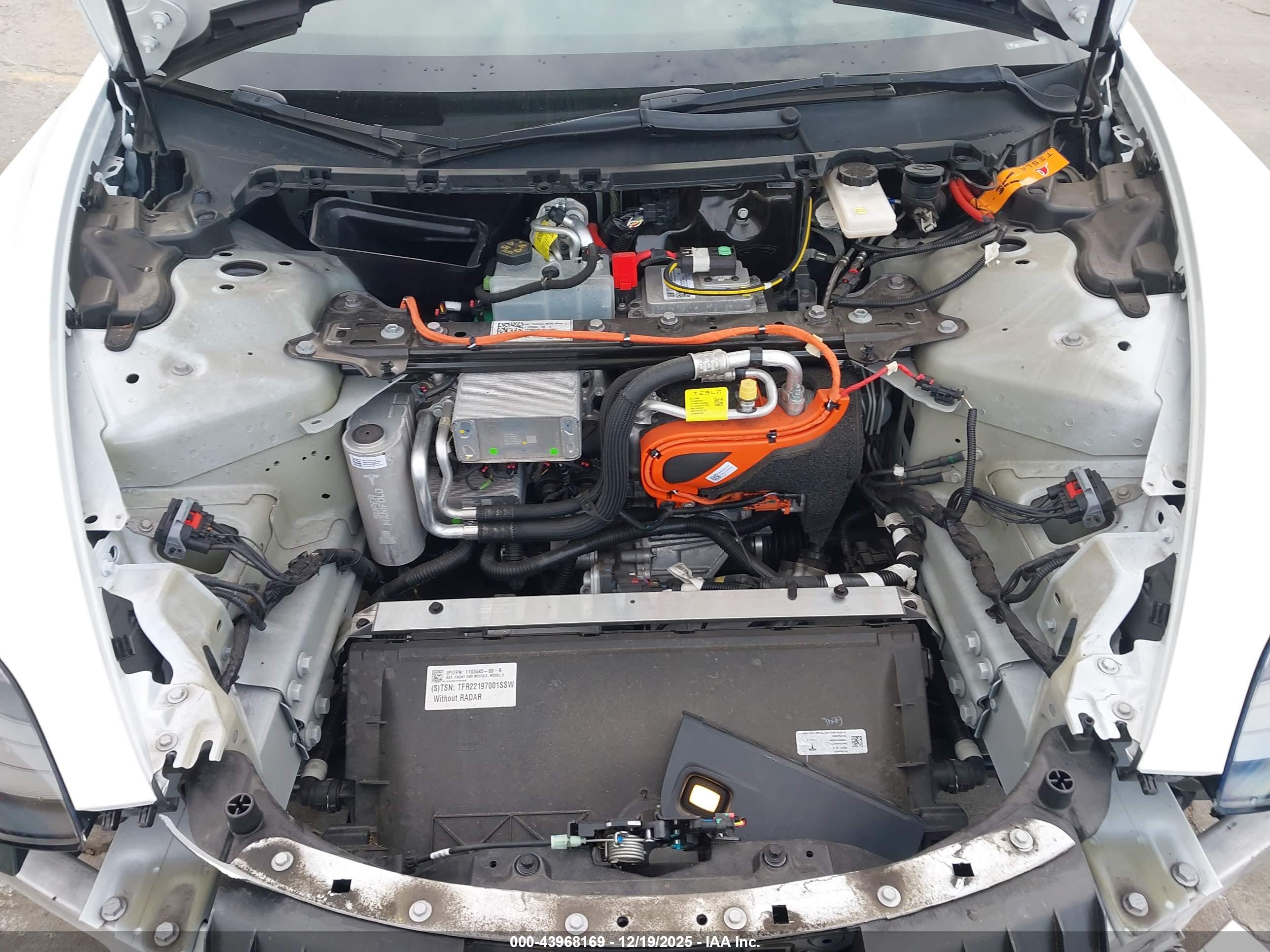 TESLA MODEL image 10
