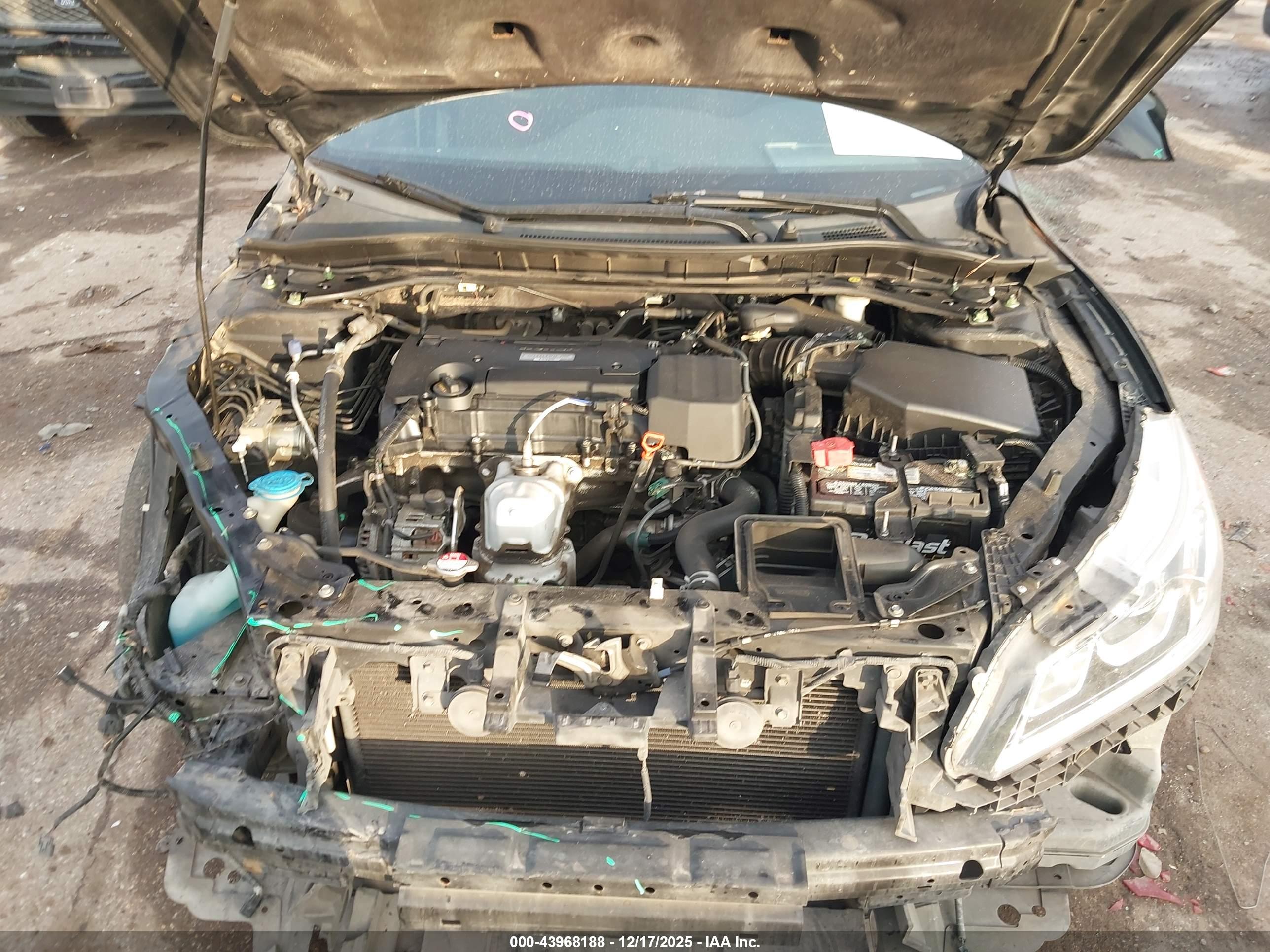HONDA ACCORD image 10