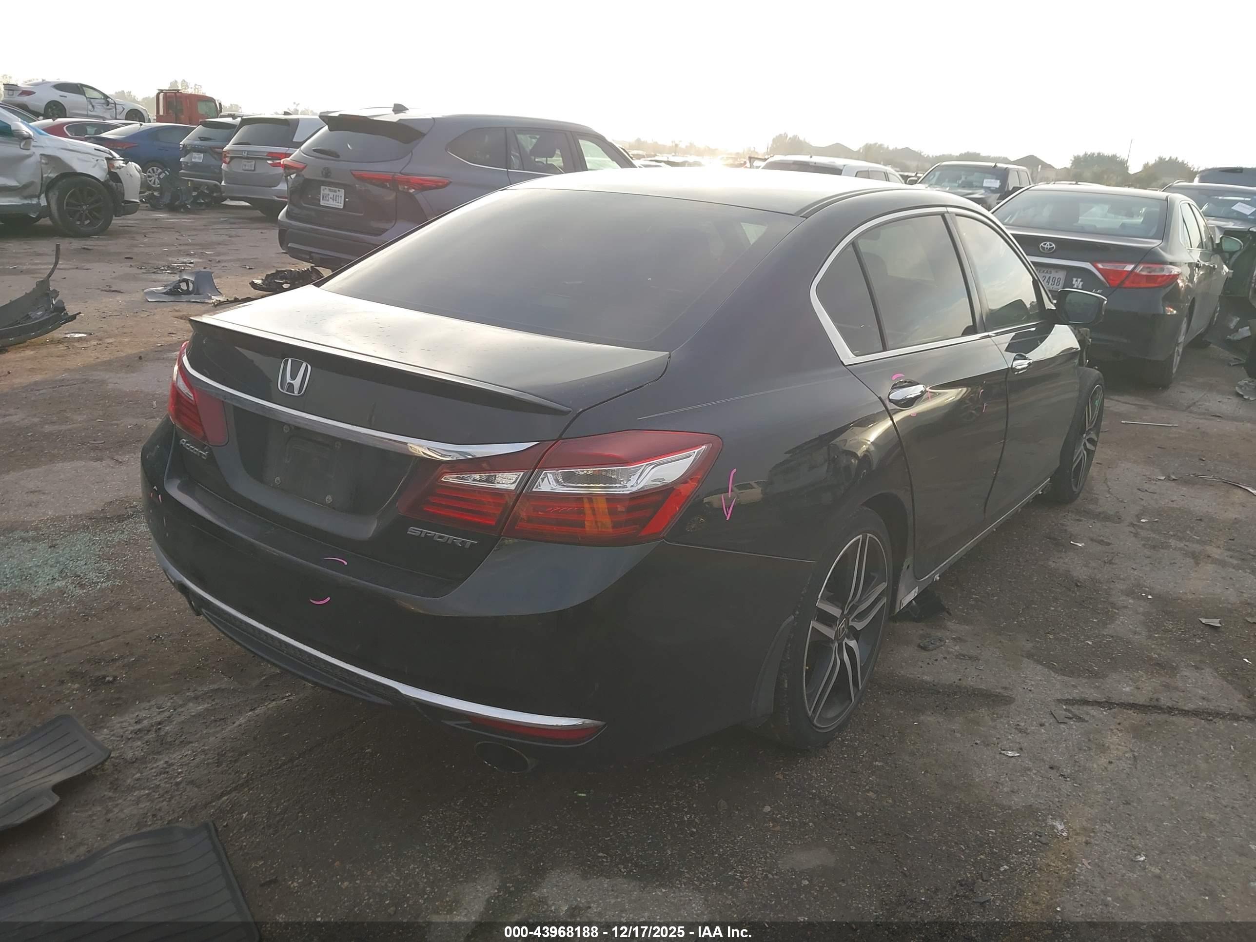 HONDA ACCORD image 4