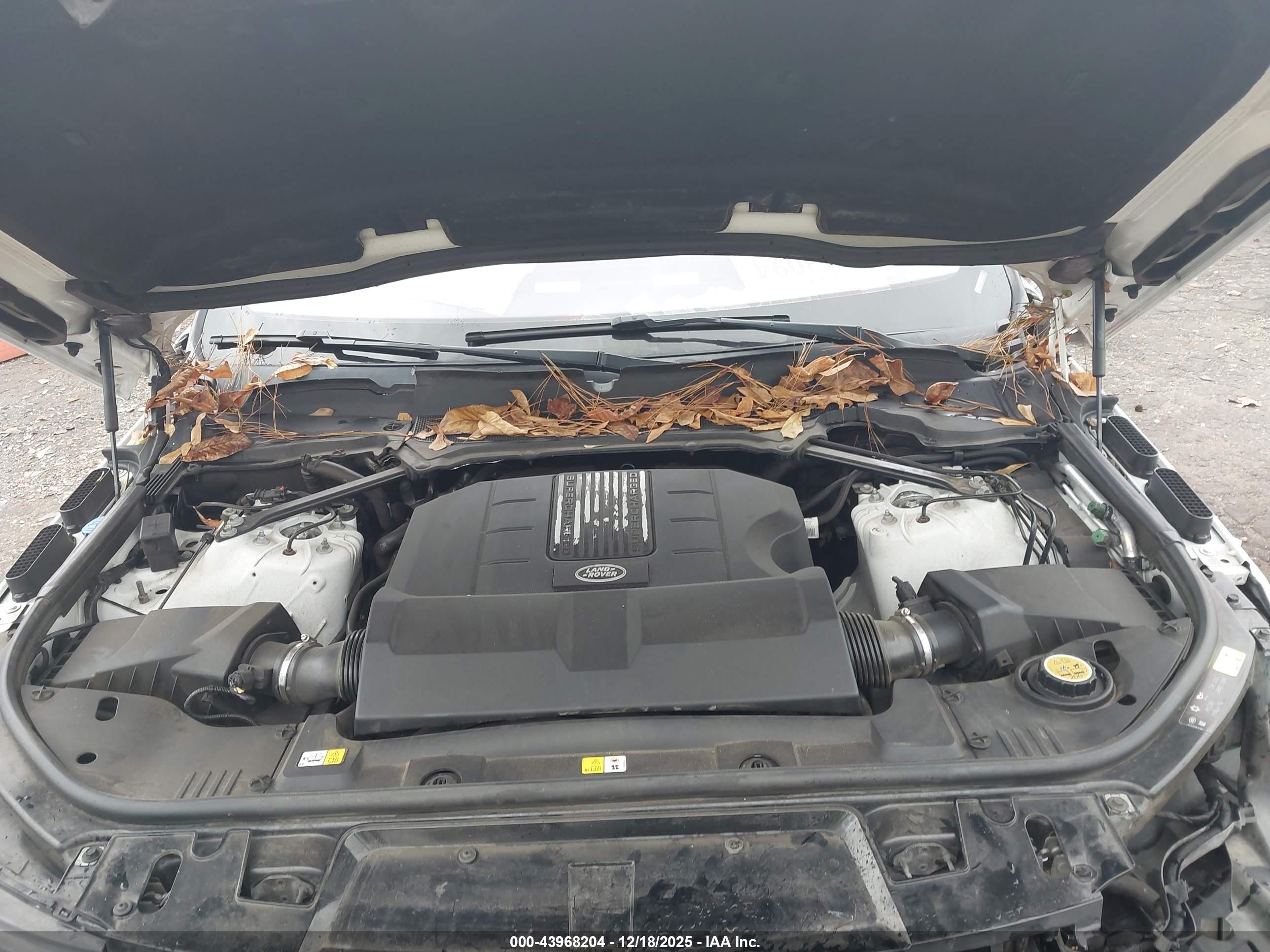 LAND ROVER image 10