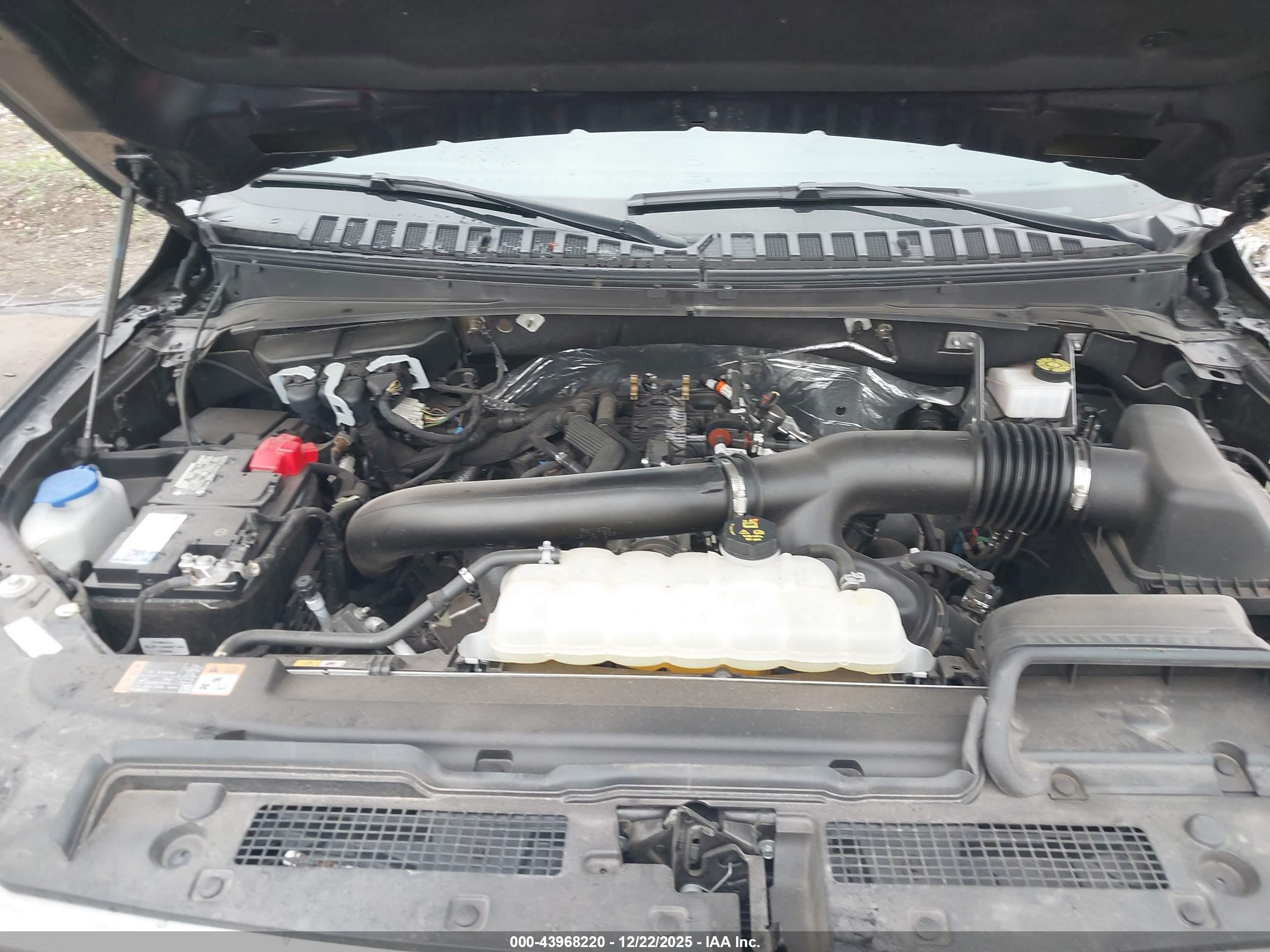 FORD EXPEDITION image 10