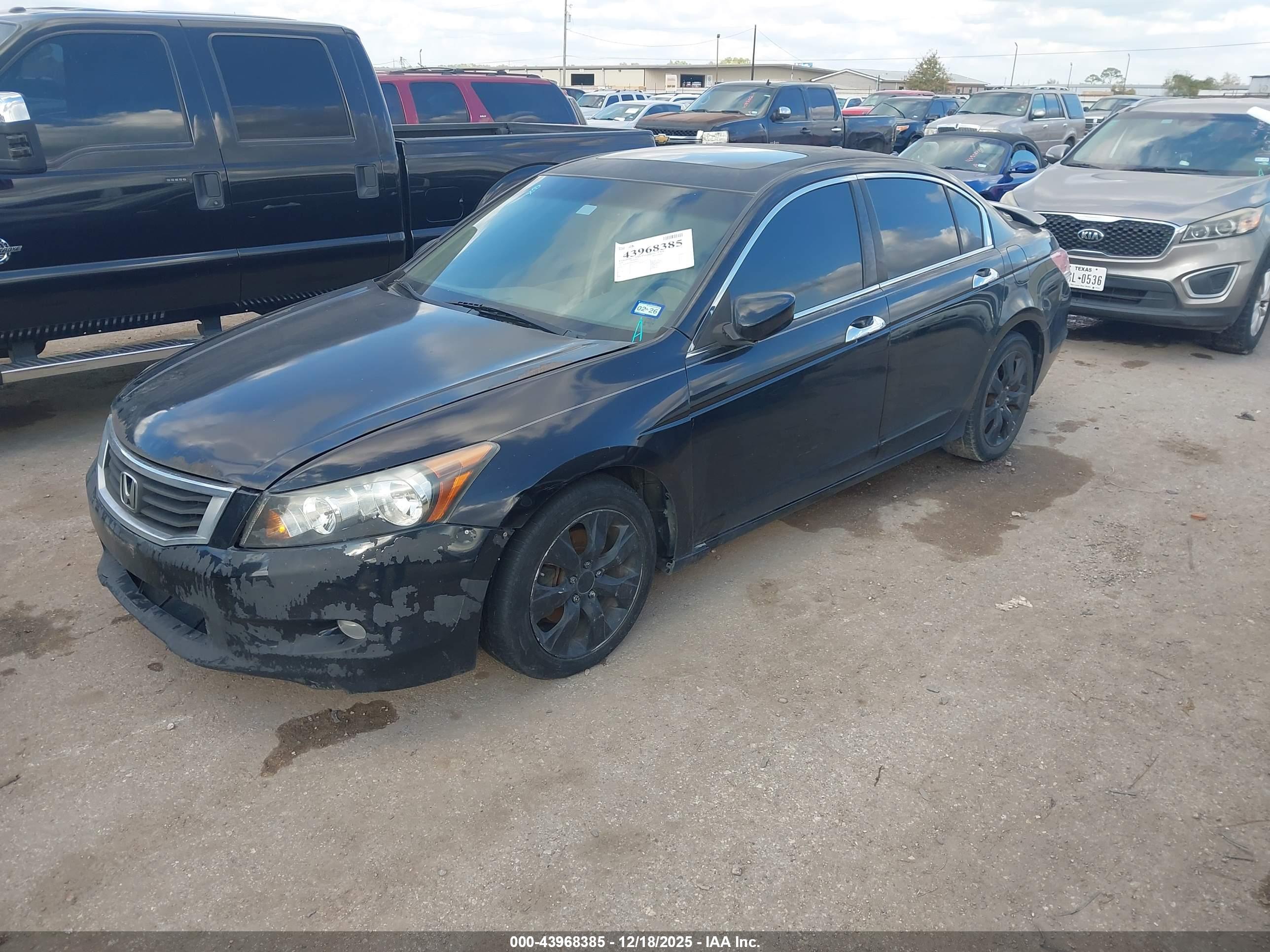 HONDA ACCORD image 2