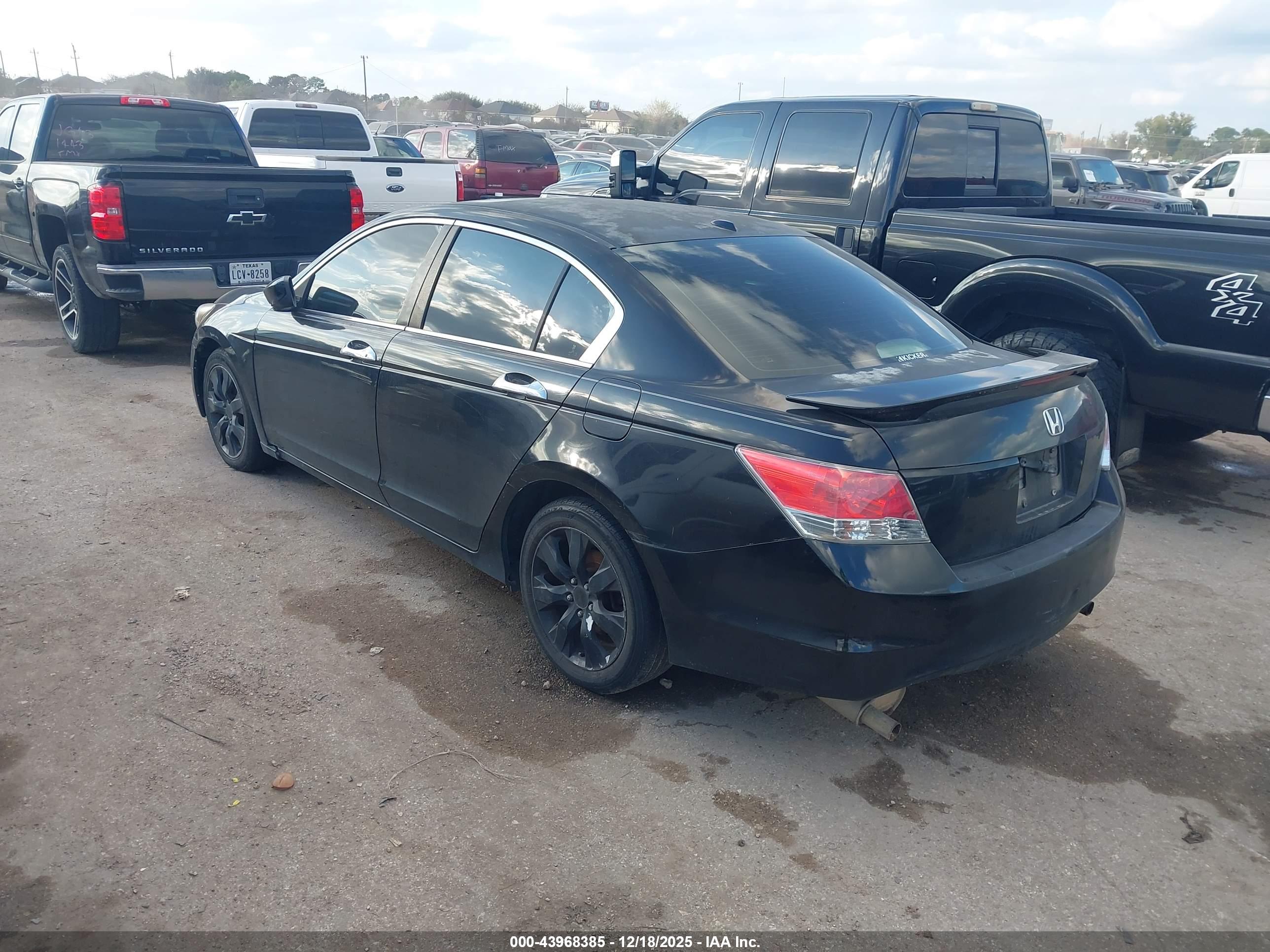 HONDA ACCORD image 3