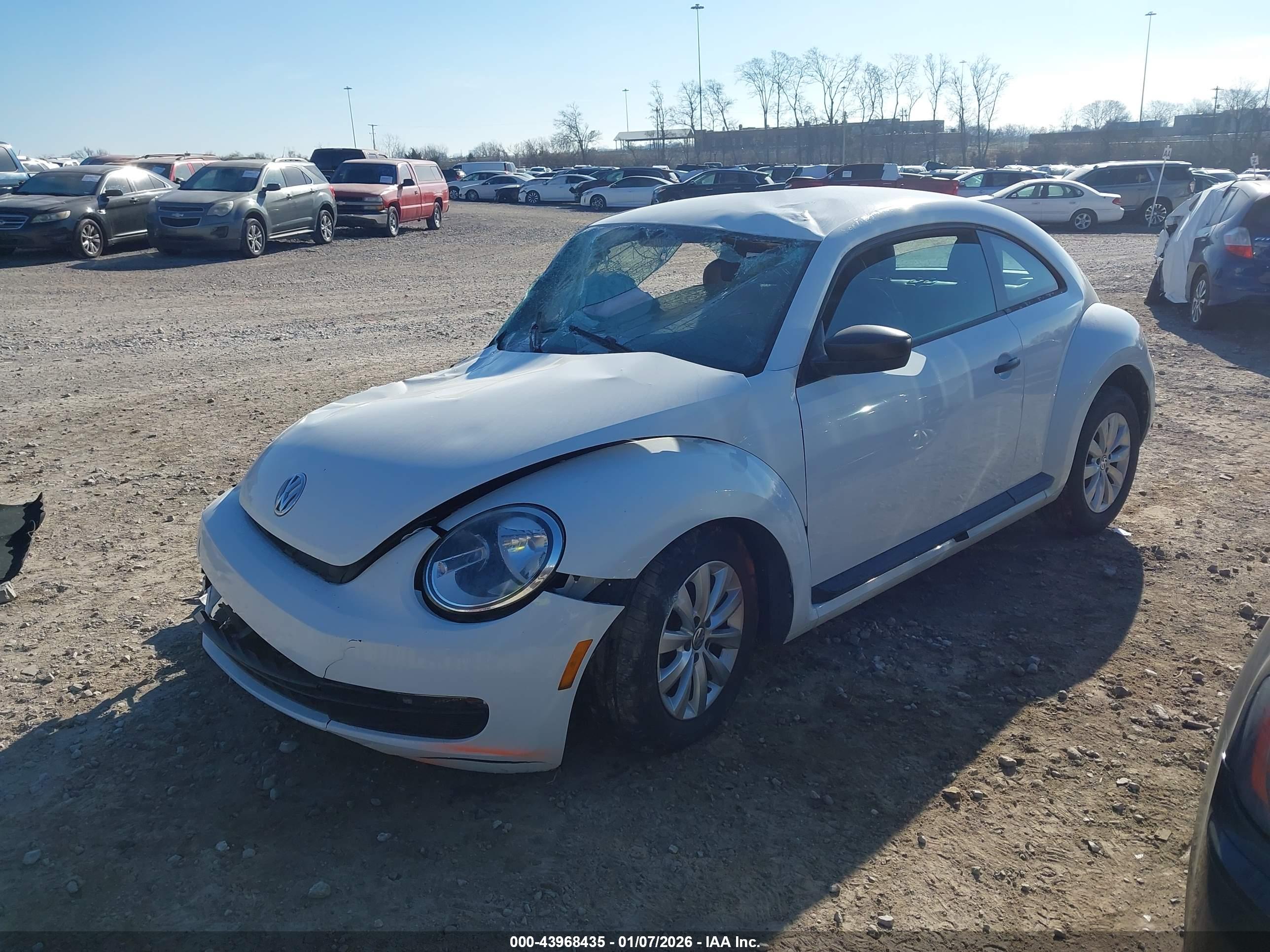 VOLKSWAGEN BEETLE image 2