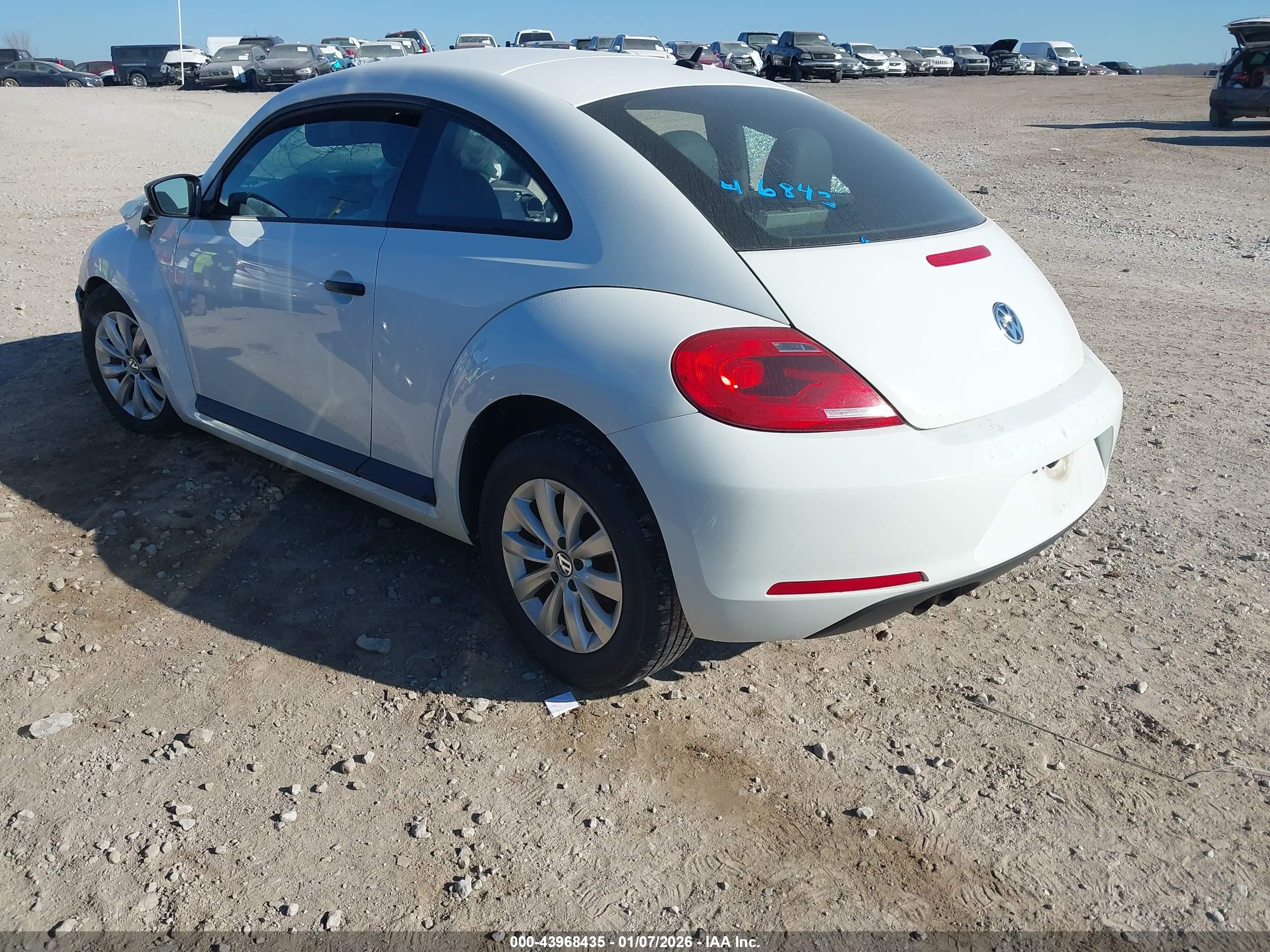 VOLKSWAGEN BEETLE image 3